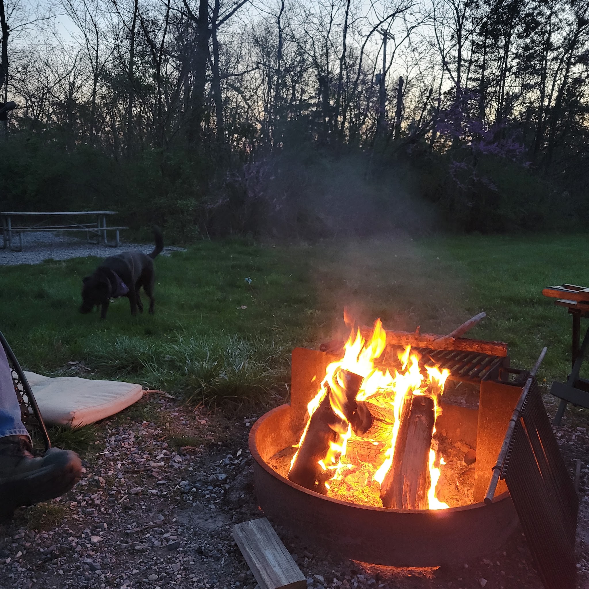 Gifford Pinchot State Park