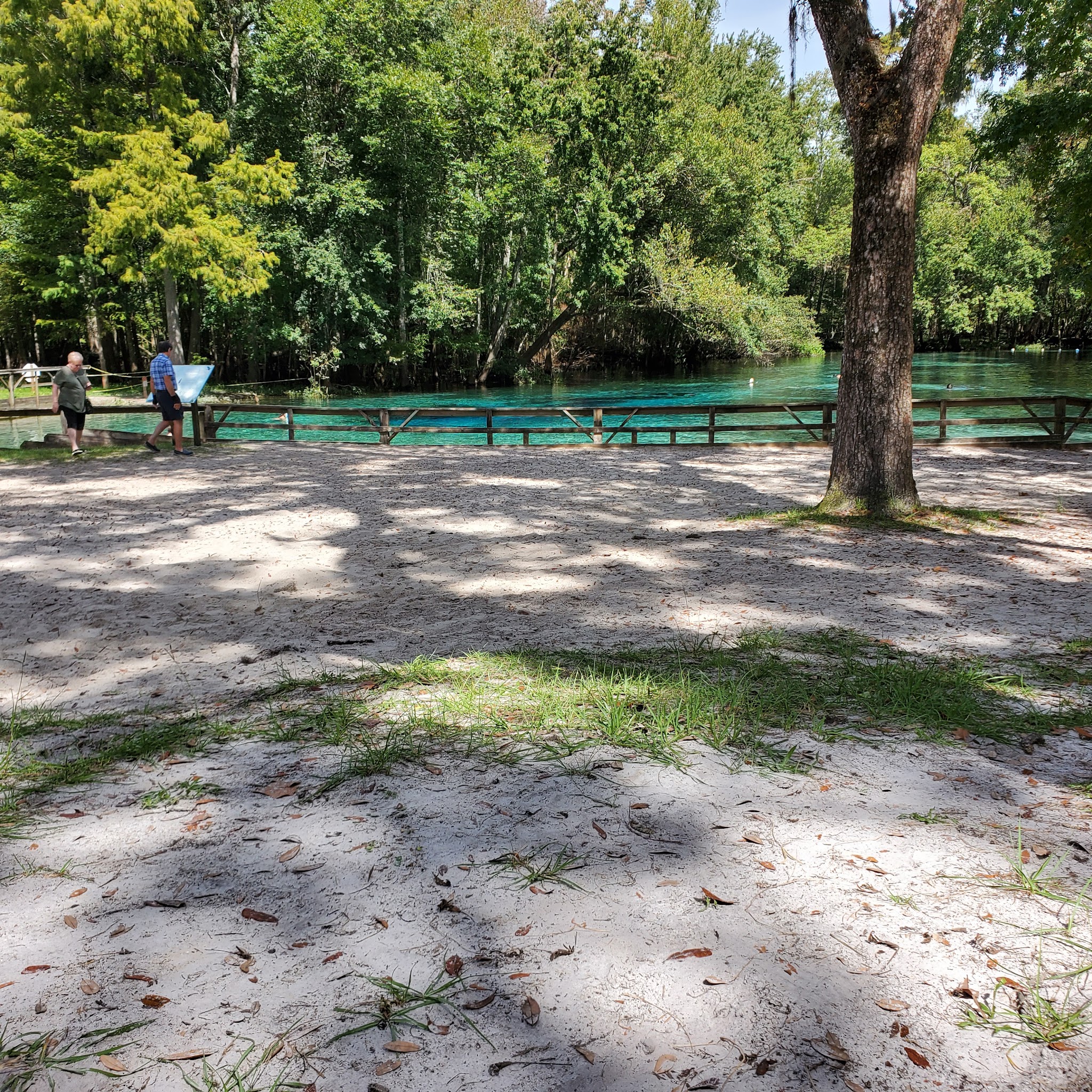 Ruth B. Kirby Gilchrist Blue Springs State Park Campground