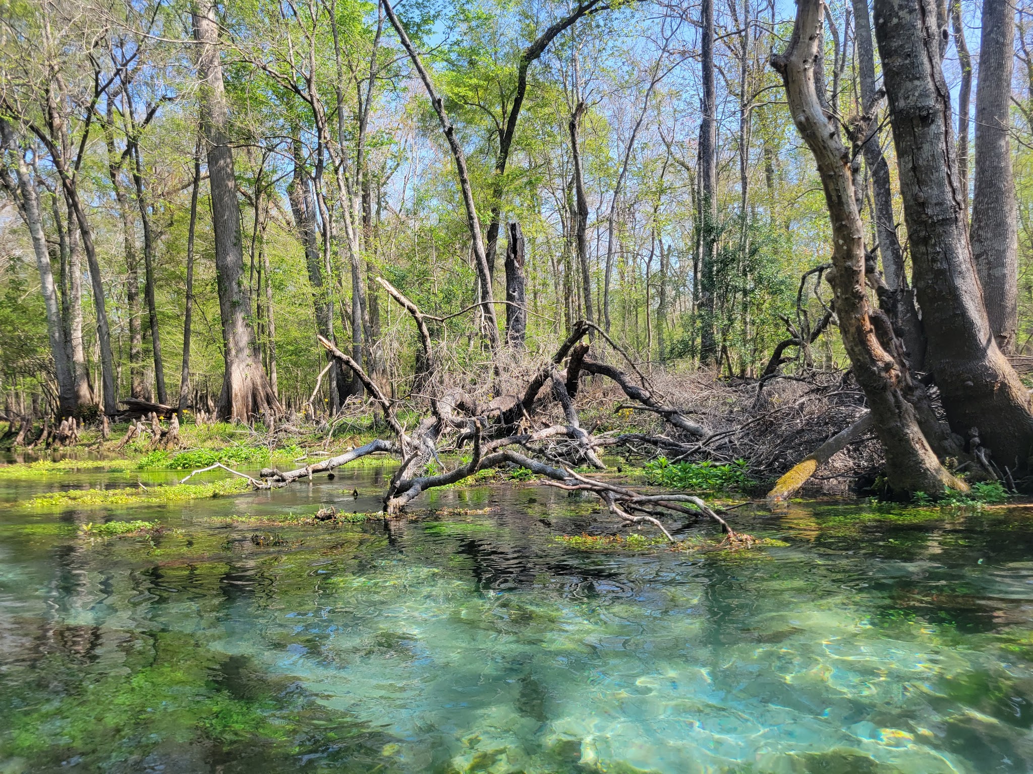 Ruth B. Kirby Gilchrist Blue Springs State Park Campground