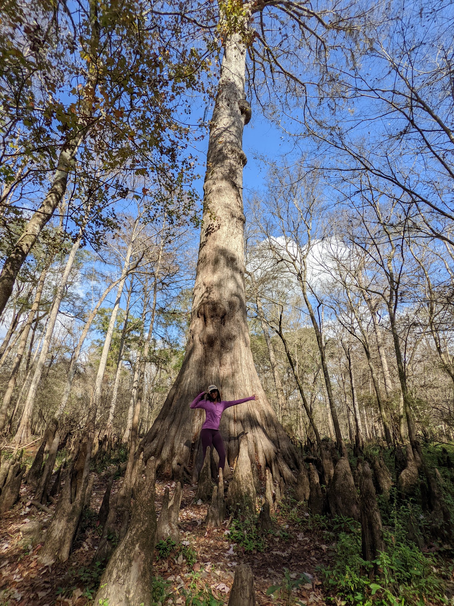 Ruth B. Kirby Gilchrist Blue Springs State Park Campground
