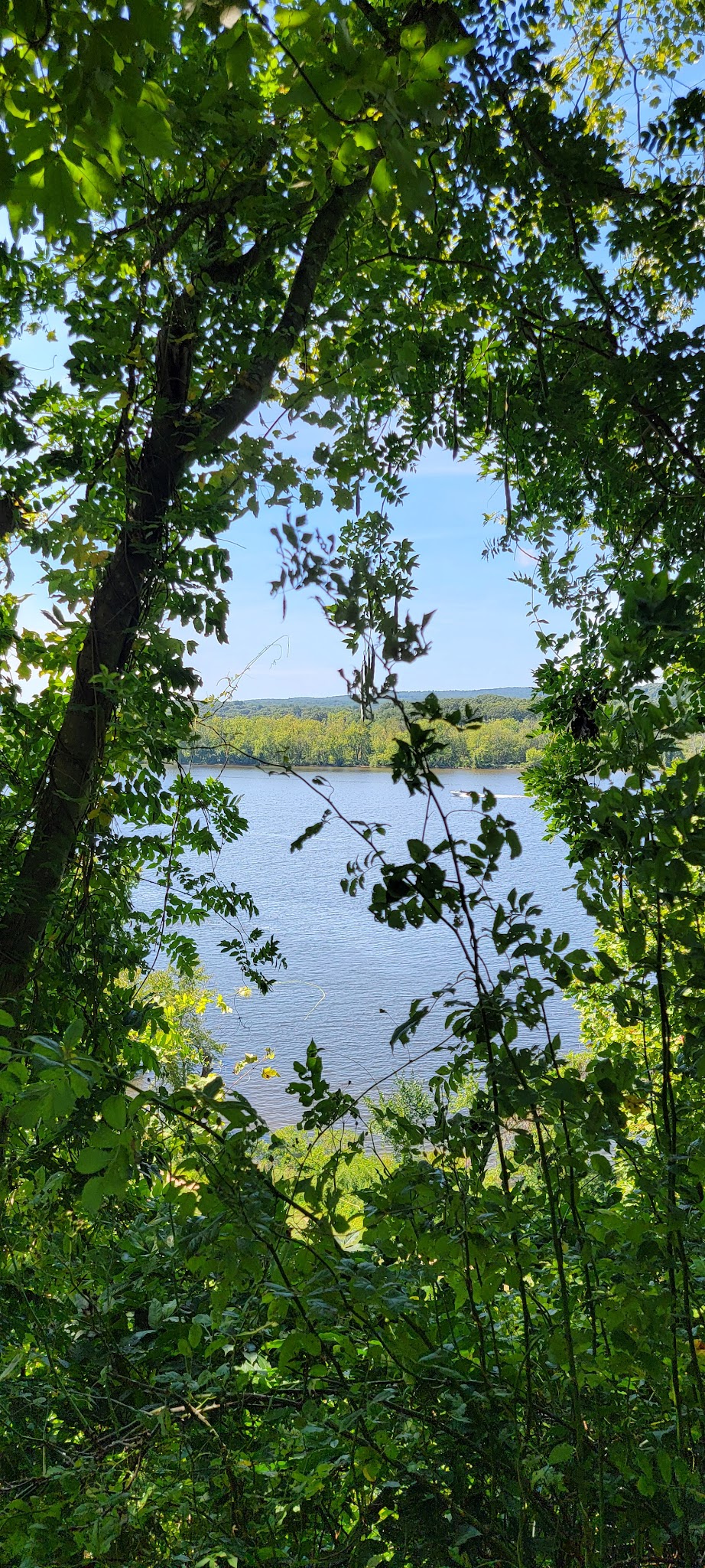 Gillette Castle State Park River Camping