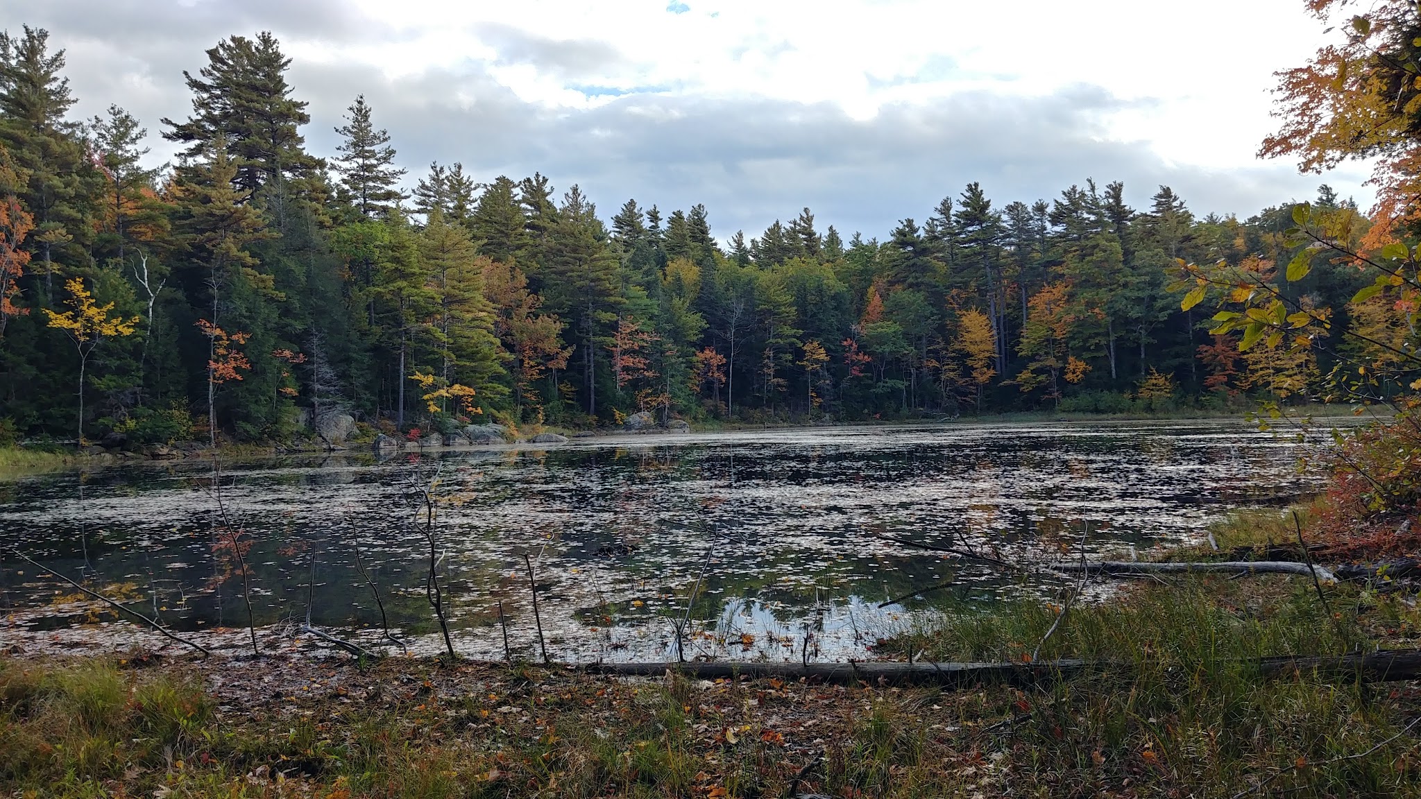 Monadnock State Park Gilson Pond Area