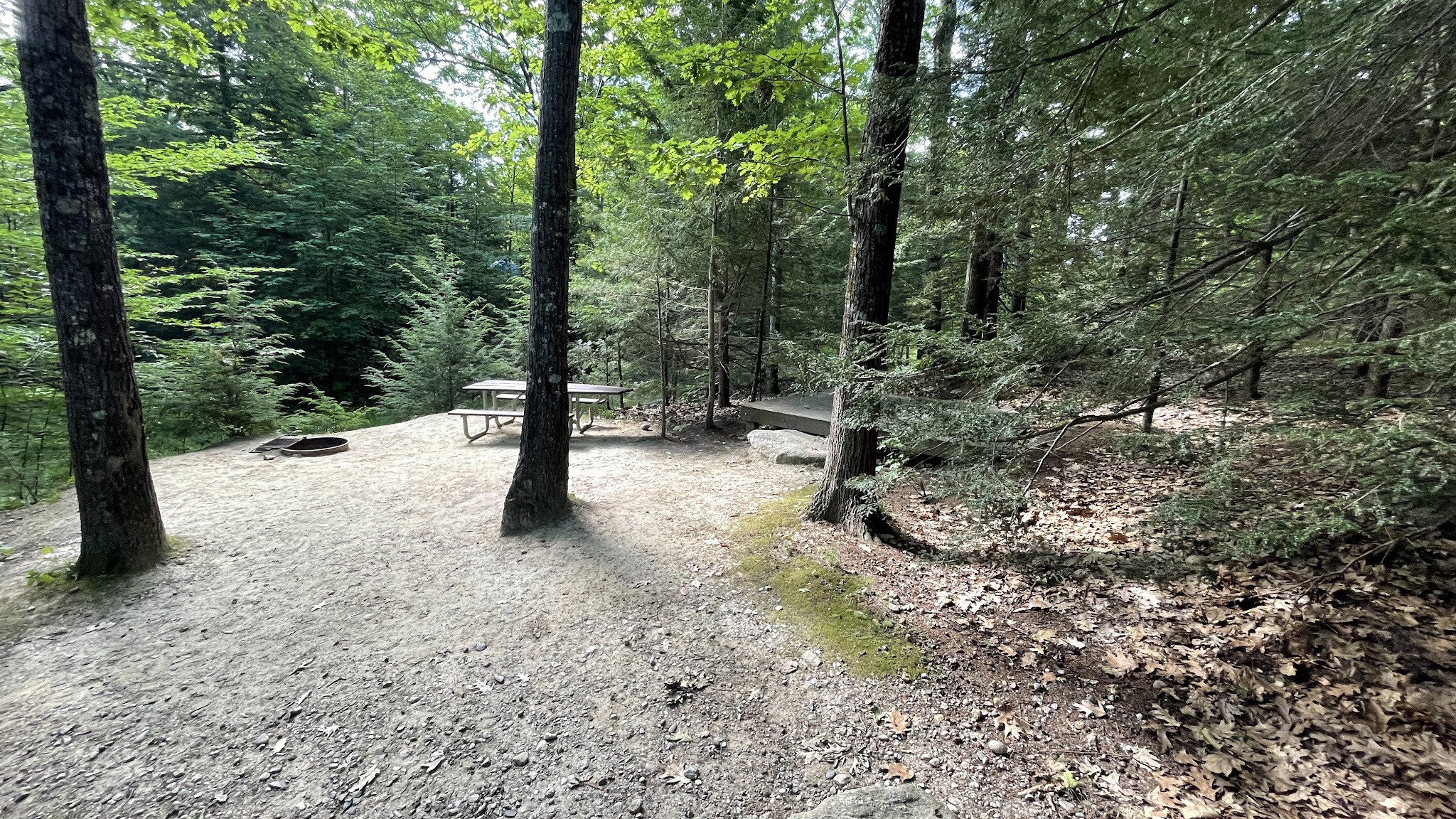 Monadnock State Park Gilson Pond Area