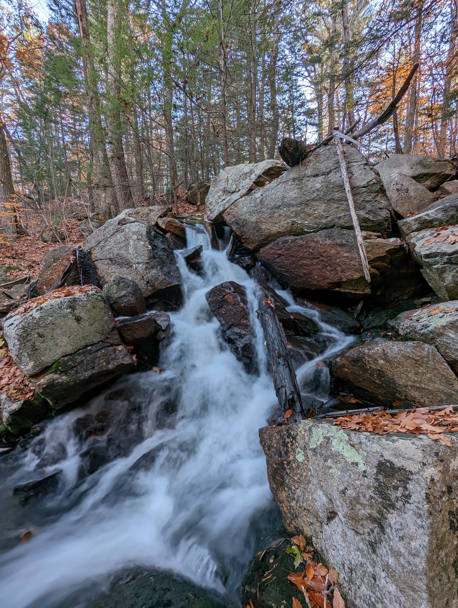 Monadnock State Park Gilson Pond Area