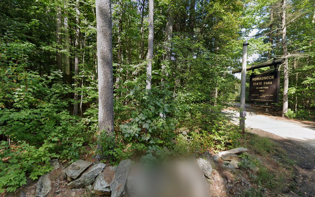 Monadnock State Park Gilson Pond Area