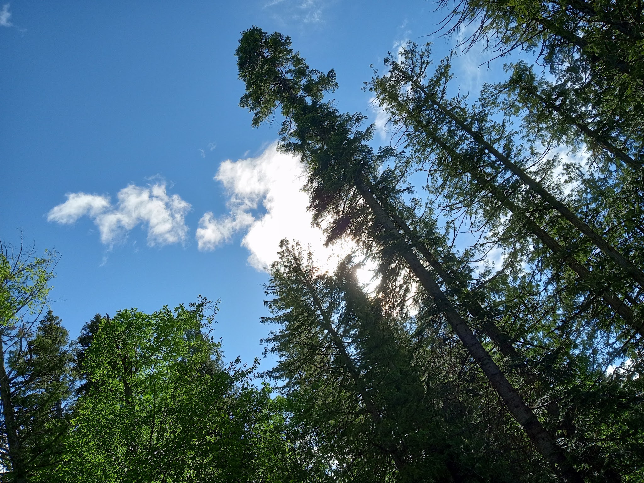 Glacier View Campground