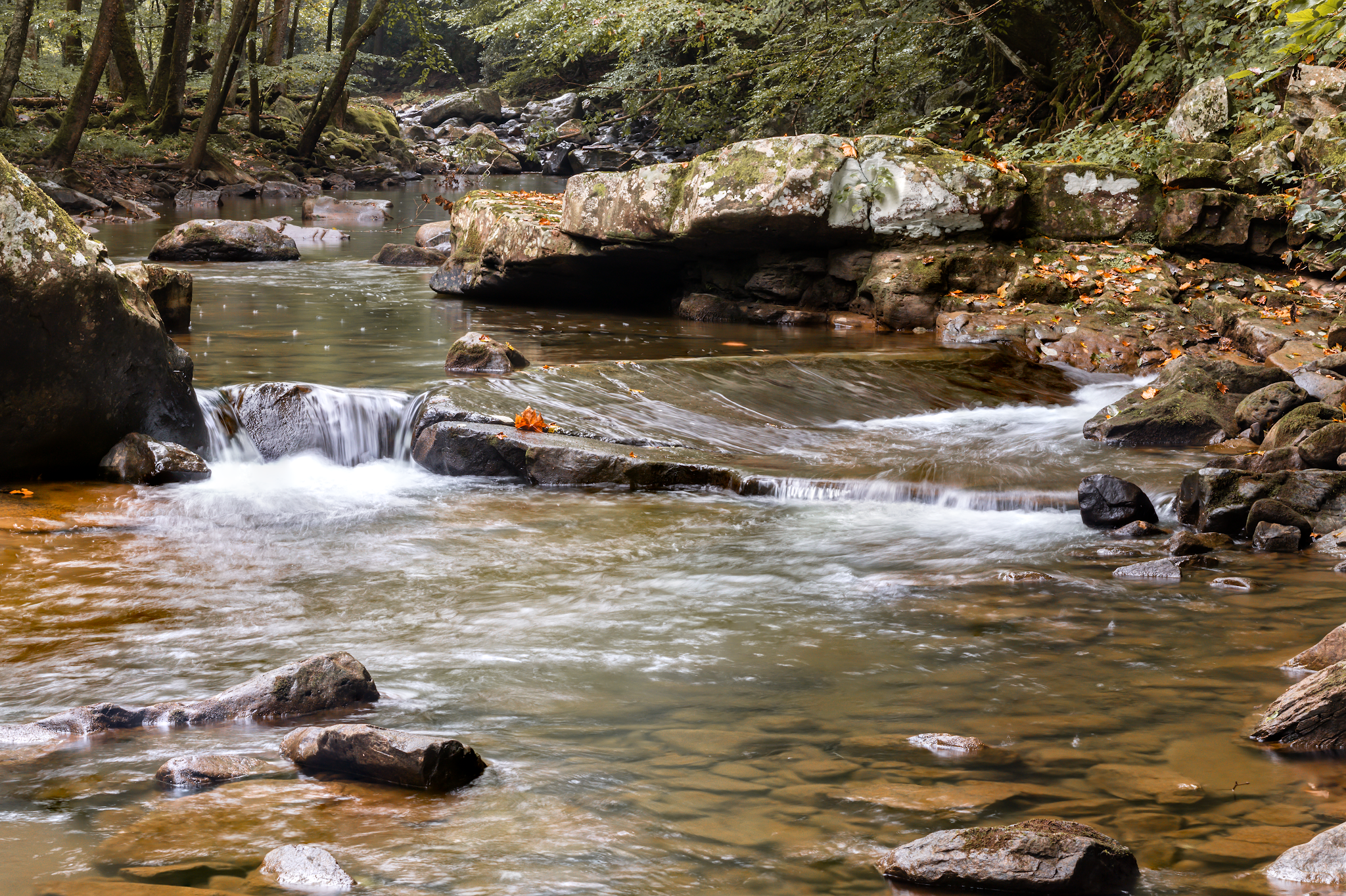 Glade Creek Campground