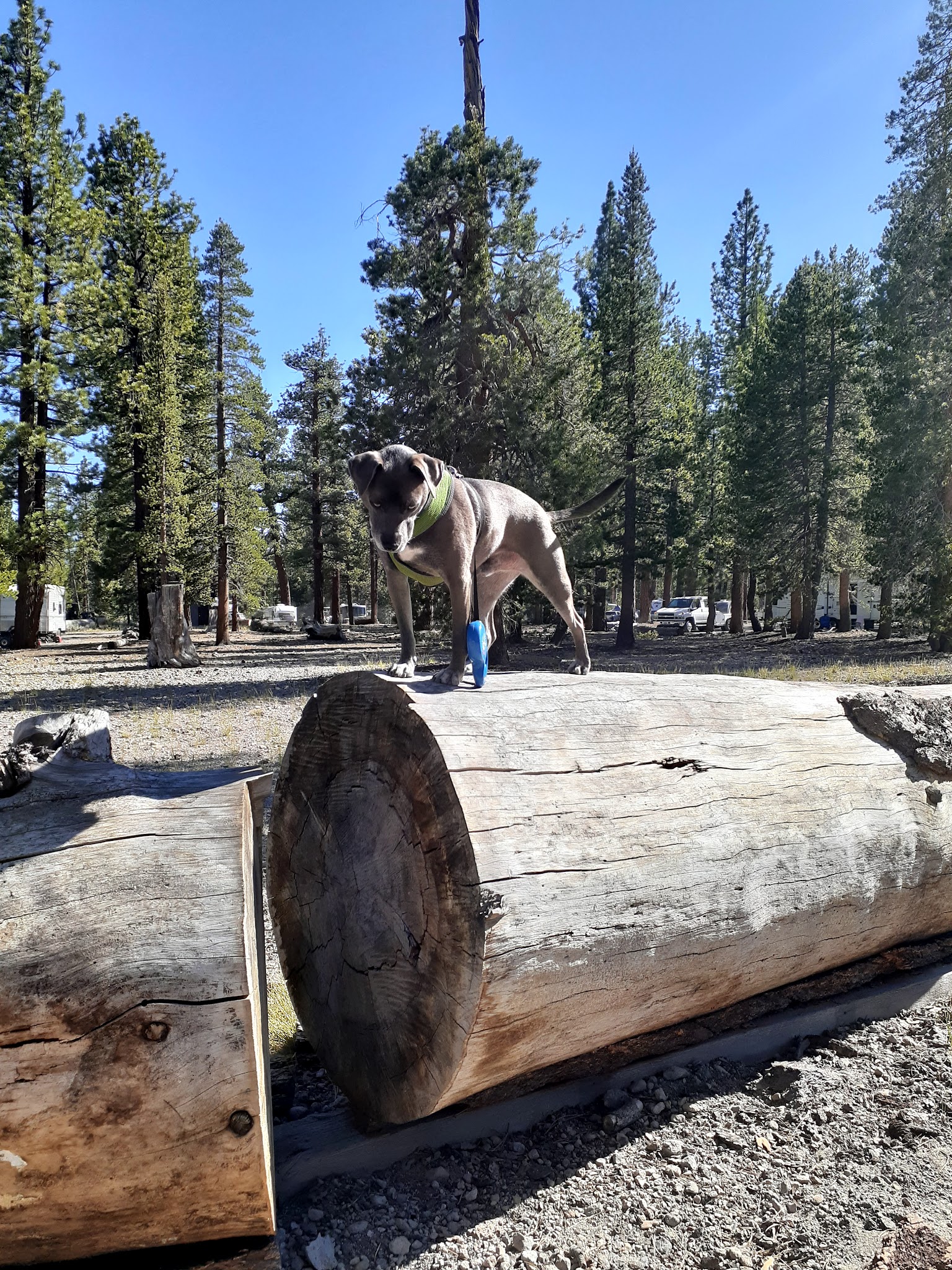 Glass Creek Campground