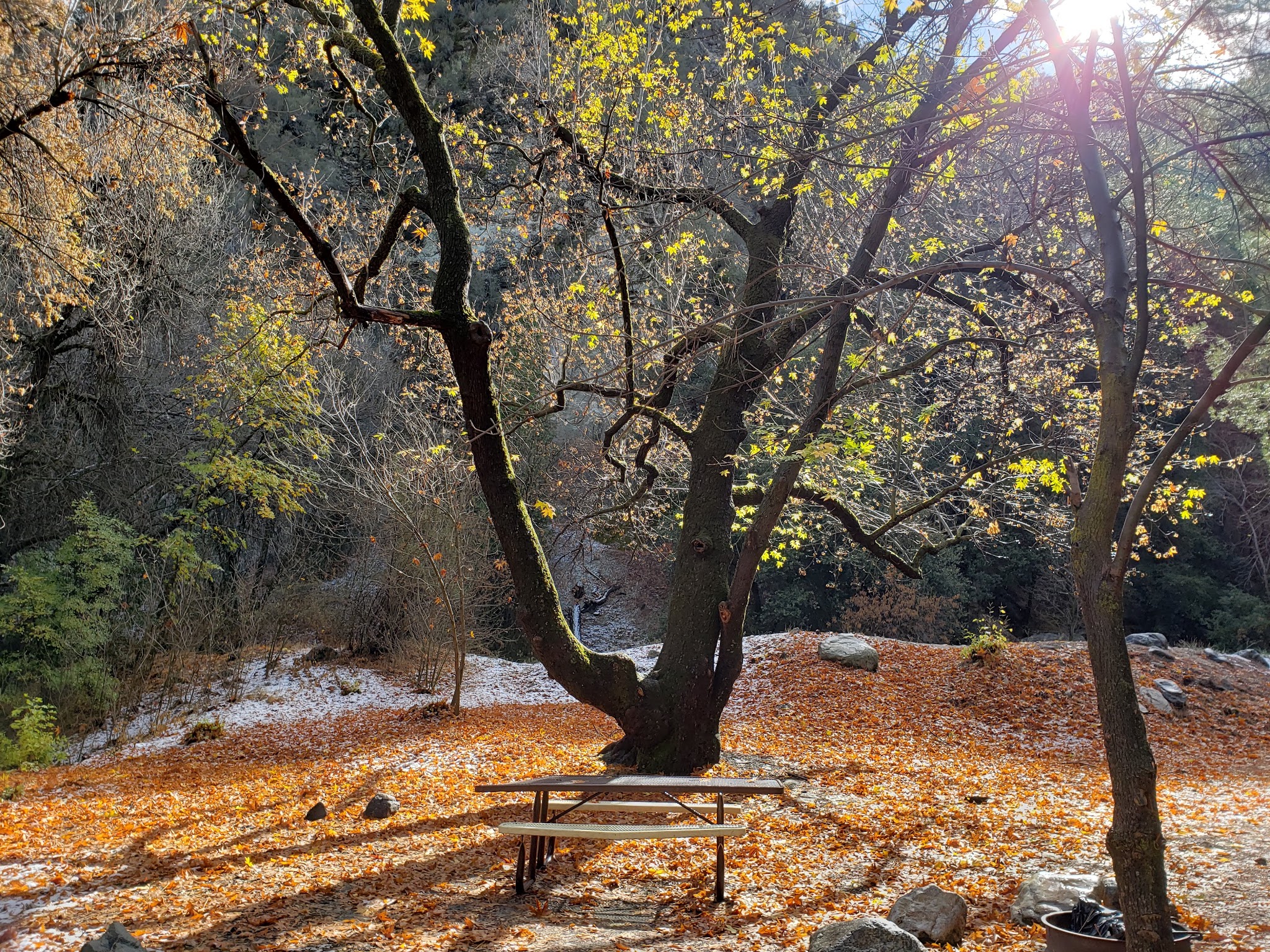Glenn Camp Campground (Hike Or Bike In 7 Miles)
