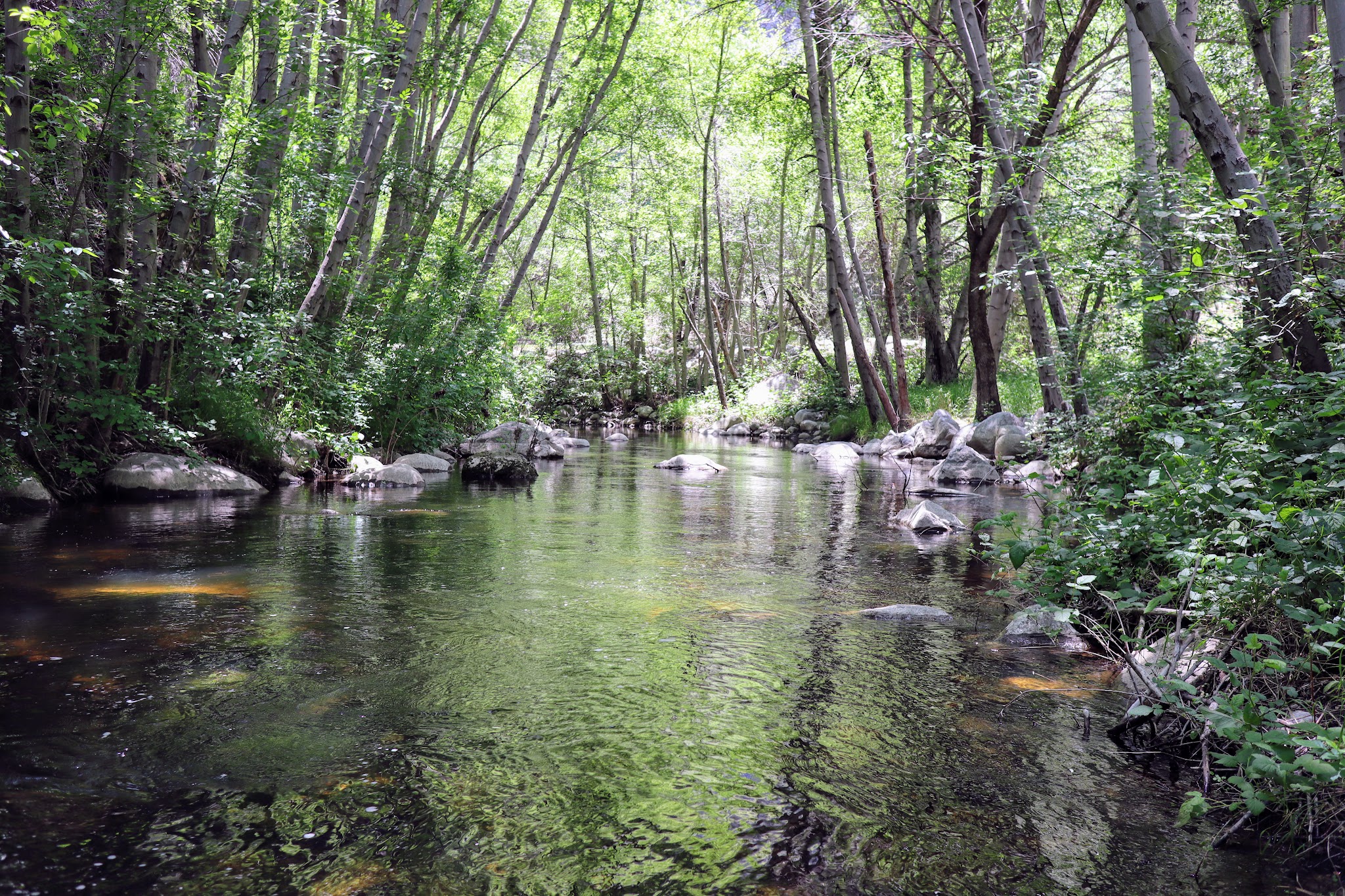 Glenn Camp Campground (Hike Or Bike In 7 Miles)