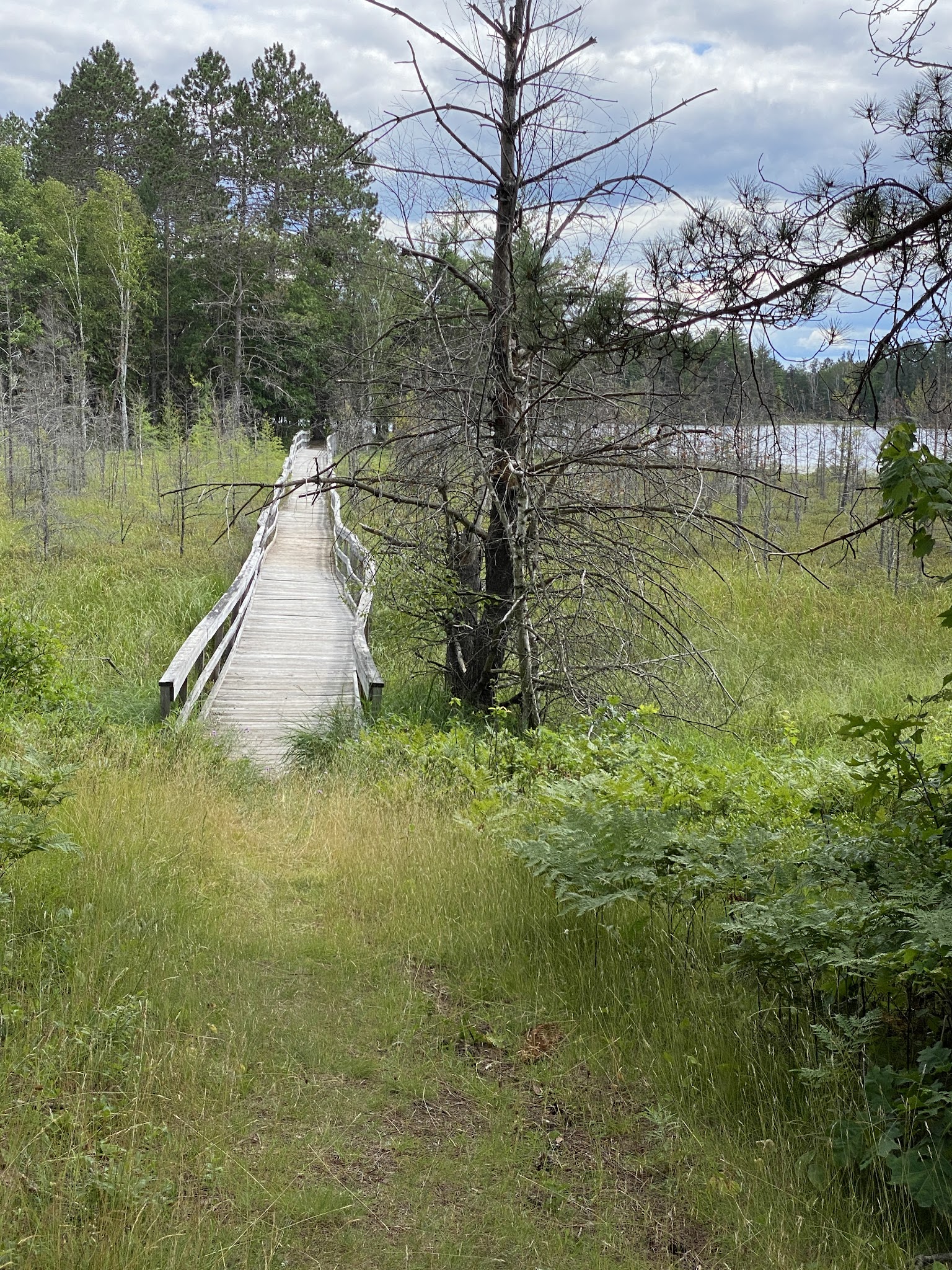 Glidden Lake State Forest Campground