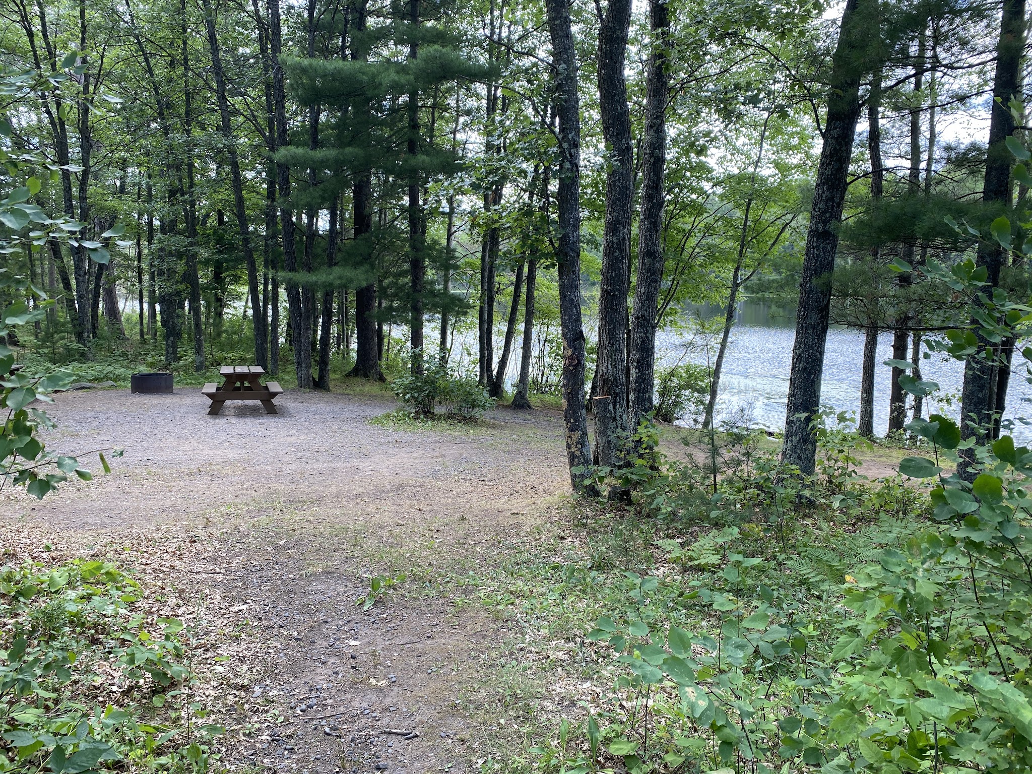 Glidden Lake State Forest Campground