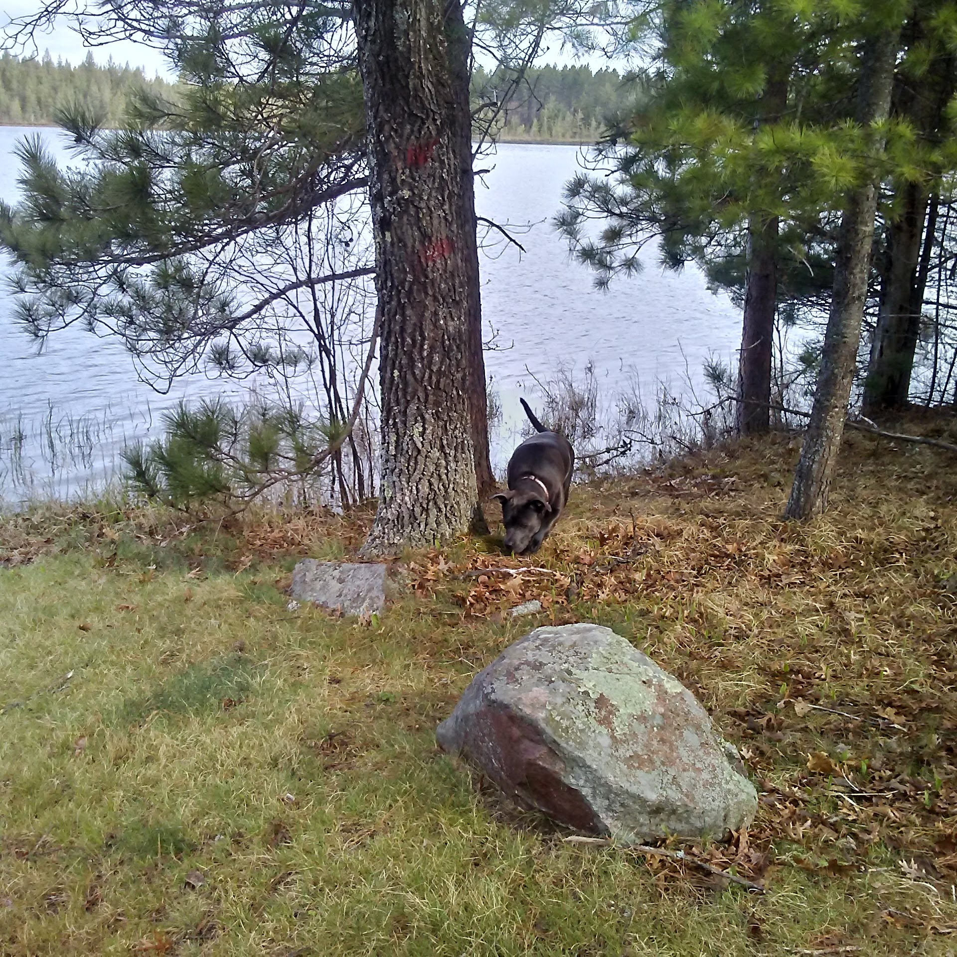 Glidden Lake State Forest Campground
