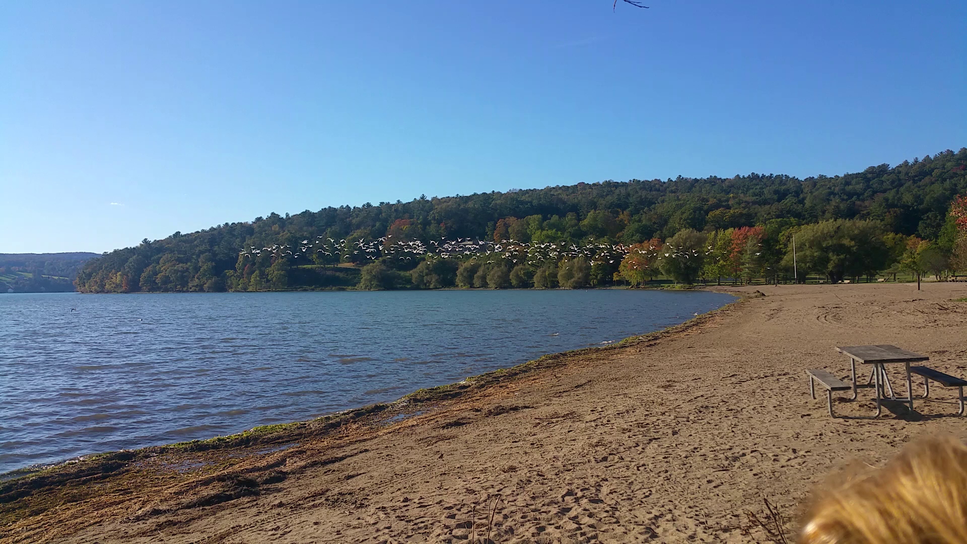 Glimmerglass State Park