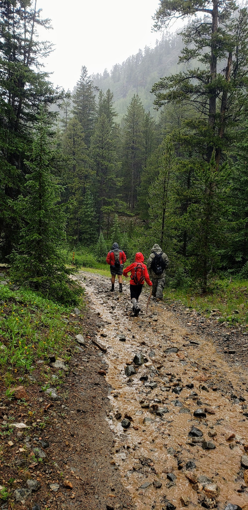 Gold Creek Campground - Gunnison Rd