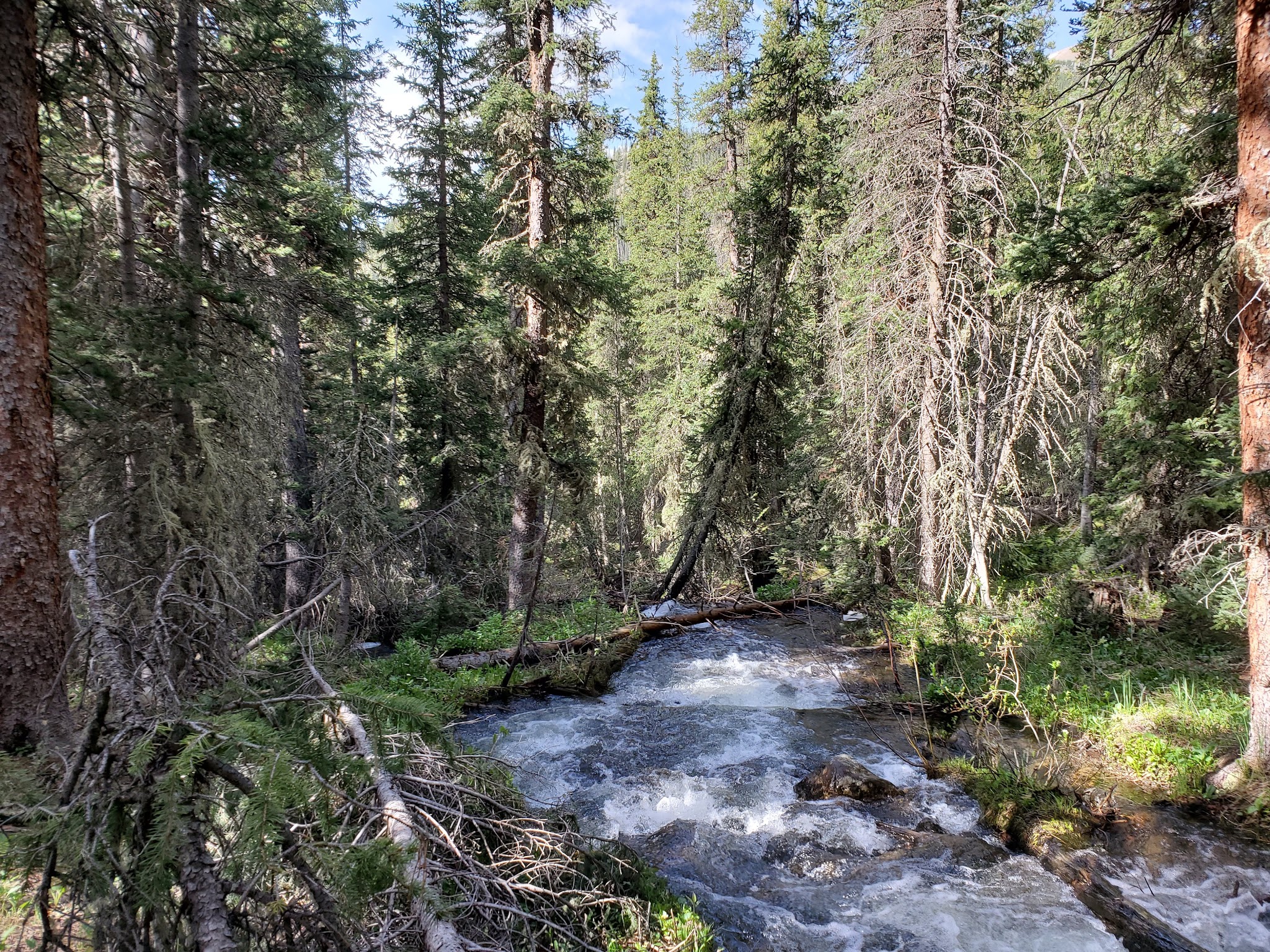 Gold Creek Campground - Gunnison Rd