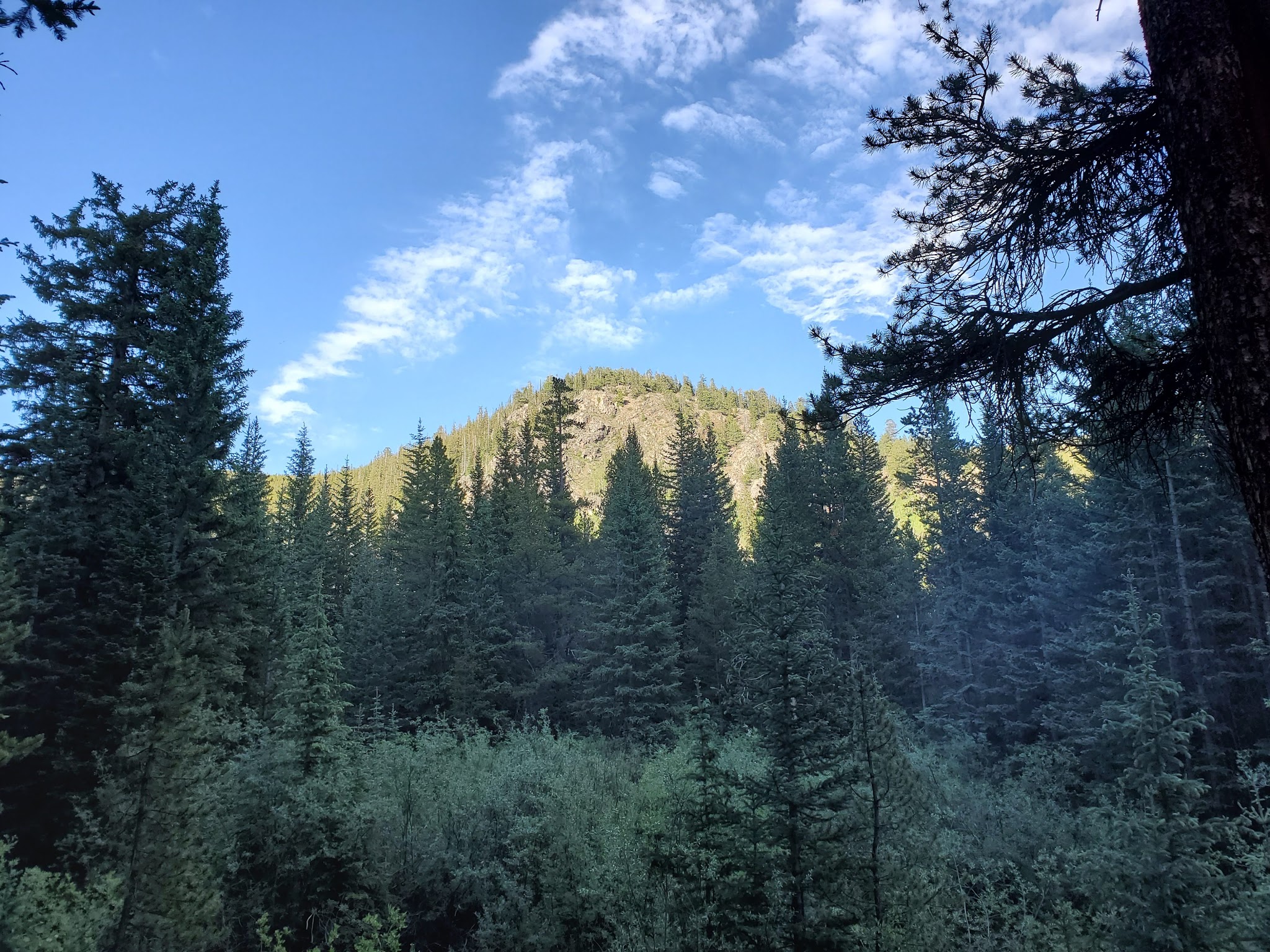 Gold Creek Campground - Gunnison Rd