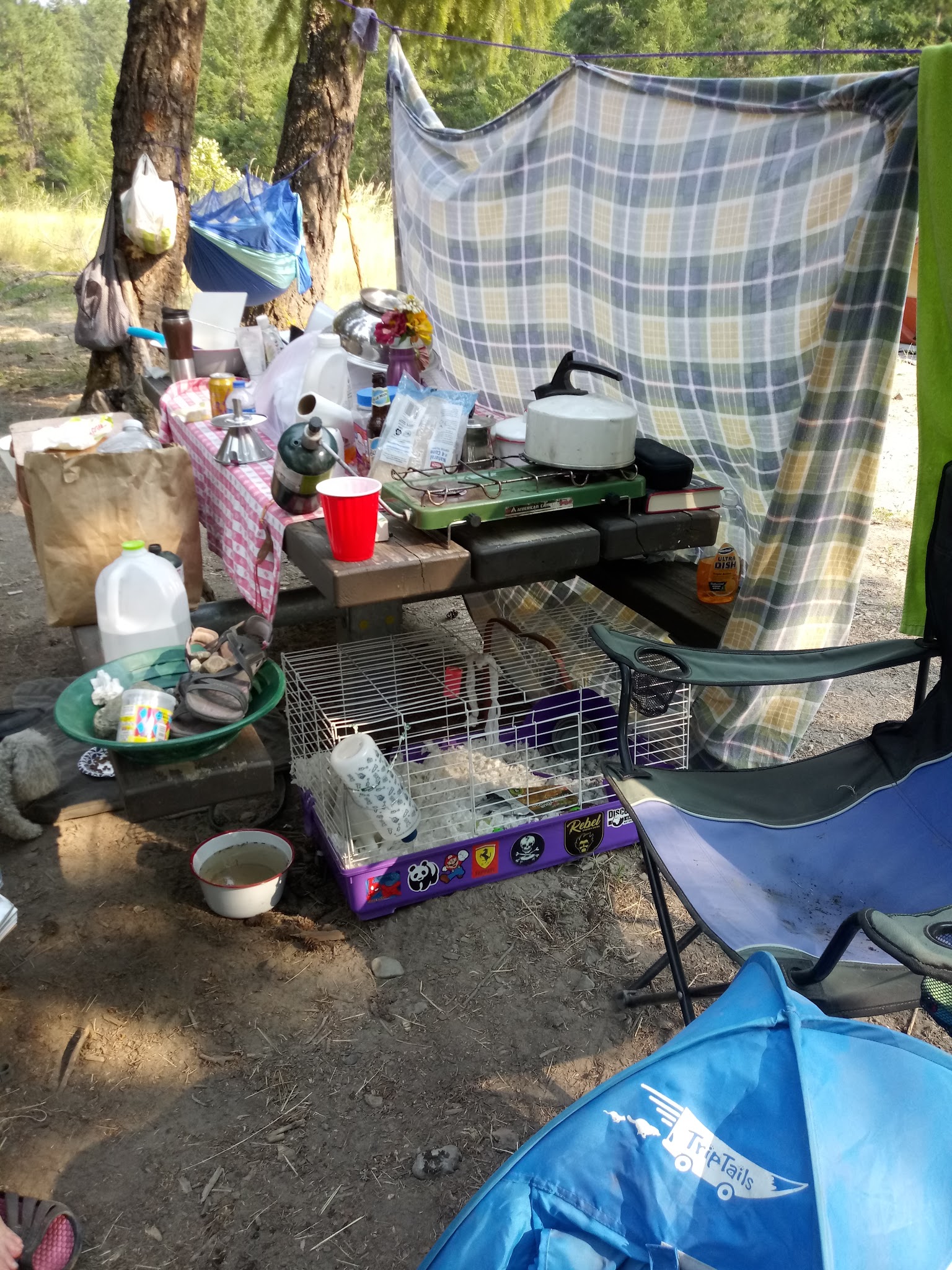 Gold Dredge Campground