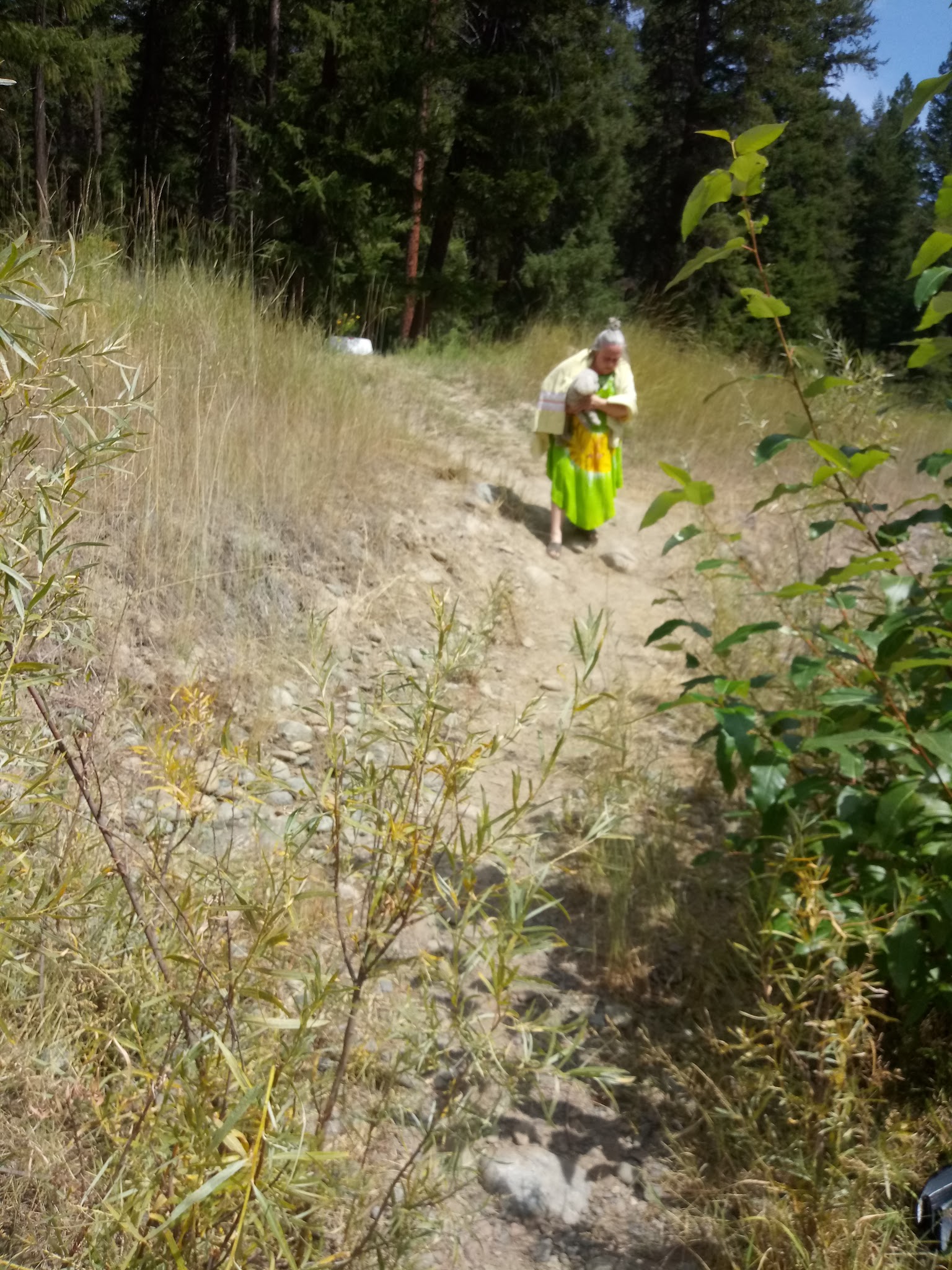 Gold Dredge Campground