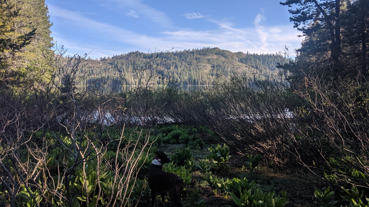 Gold Lake 4x4 Campground