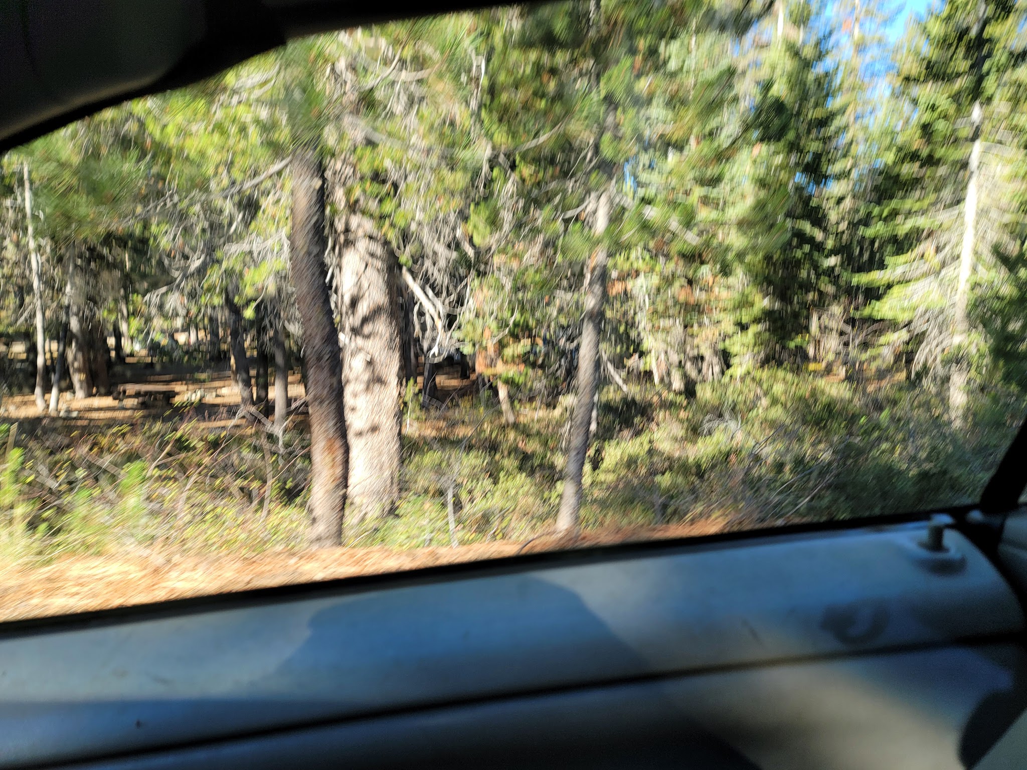 Gold Lake Campground (Ca)