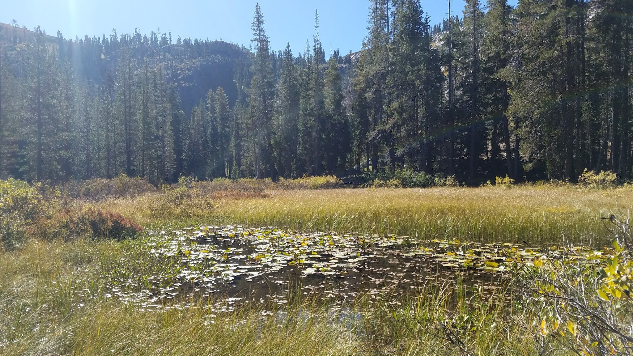 Gold Lake 4x4 Campground