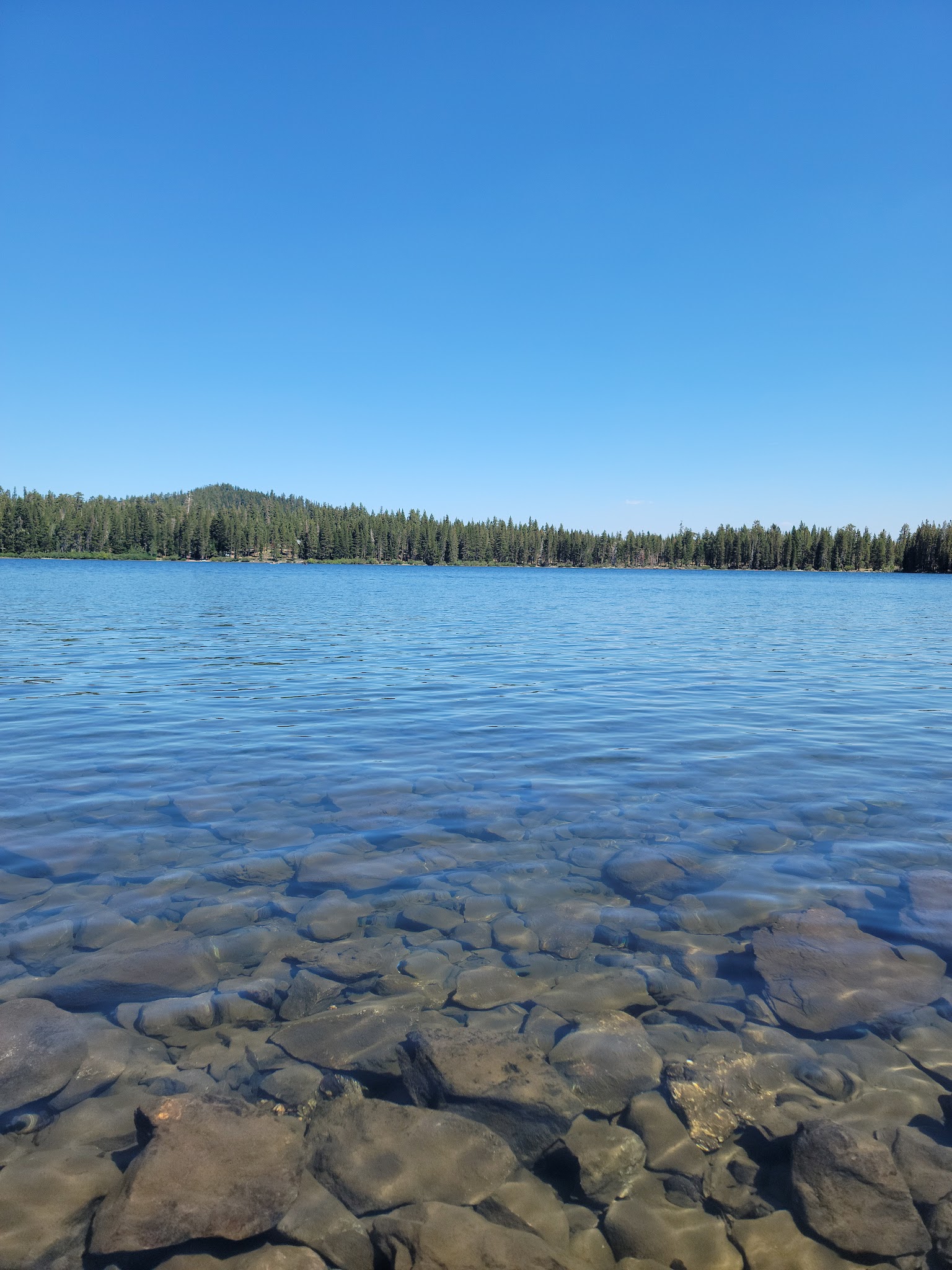 Gold Lake Campground (Ca)