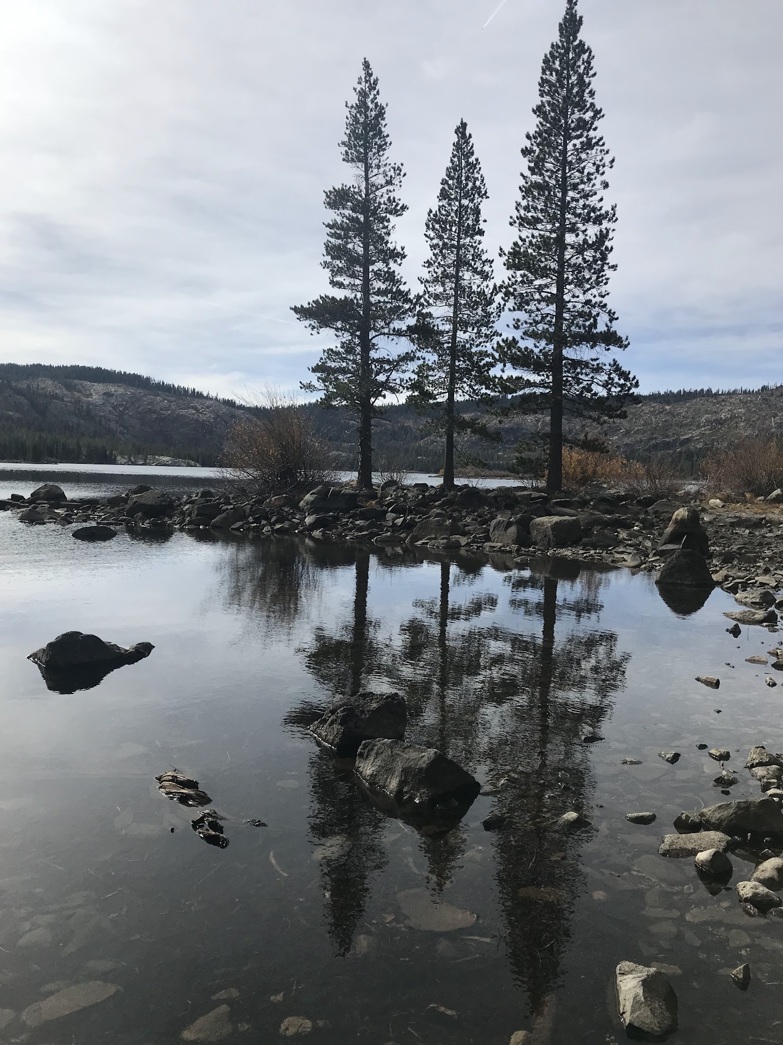 Gold Lake Campground (Ca)