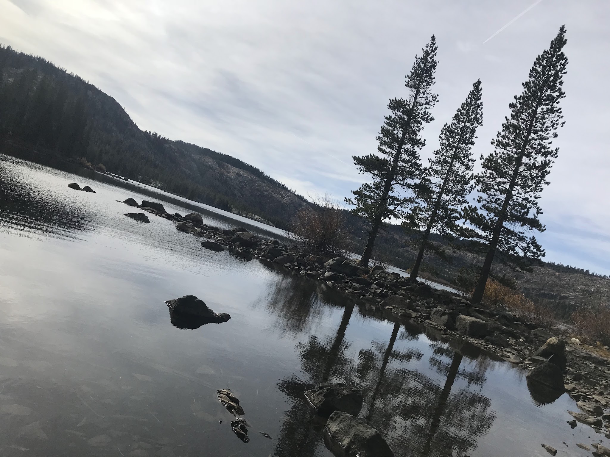 Gold Lake Campground (Ca)