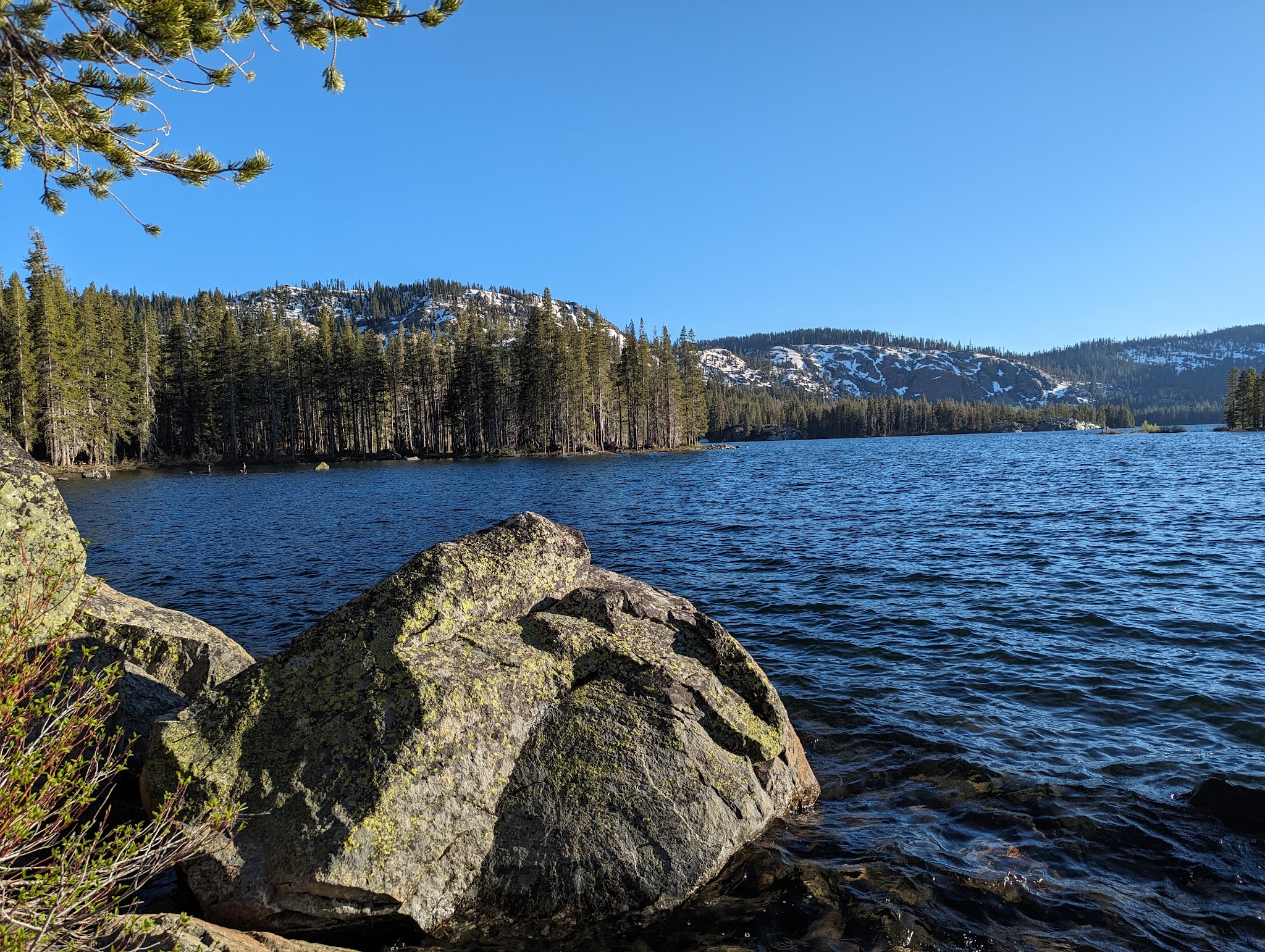 Gold Lake Campground (Ca)