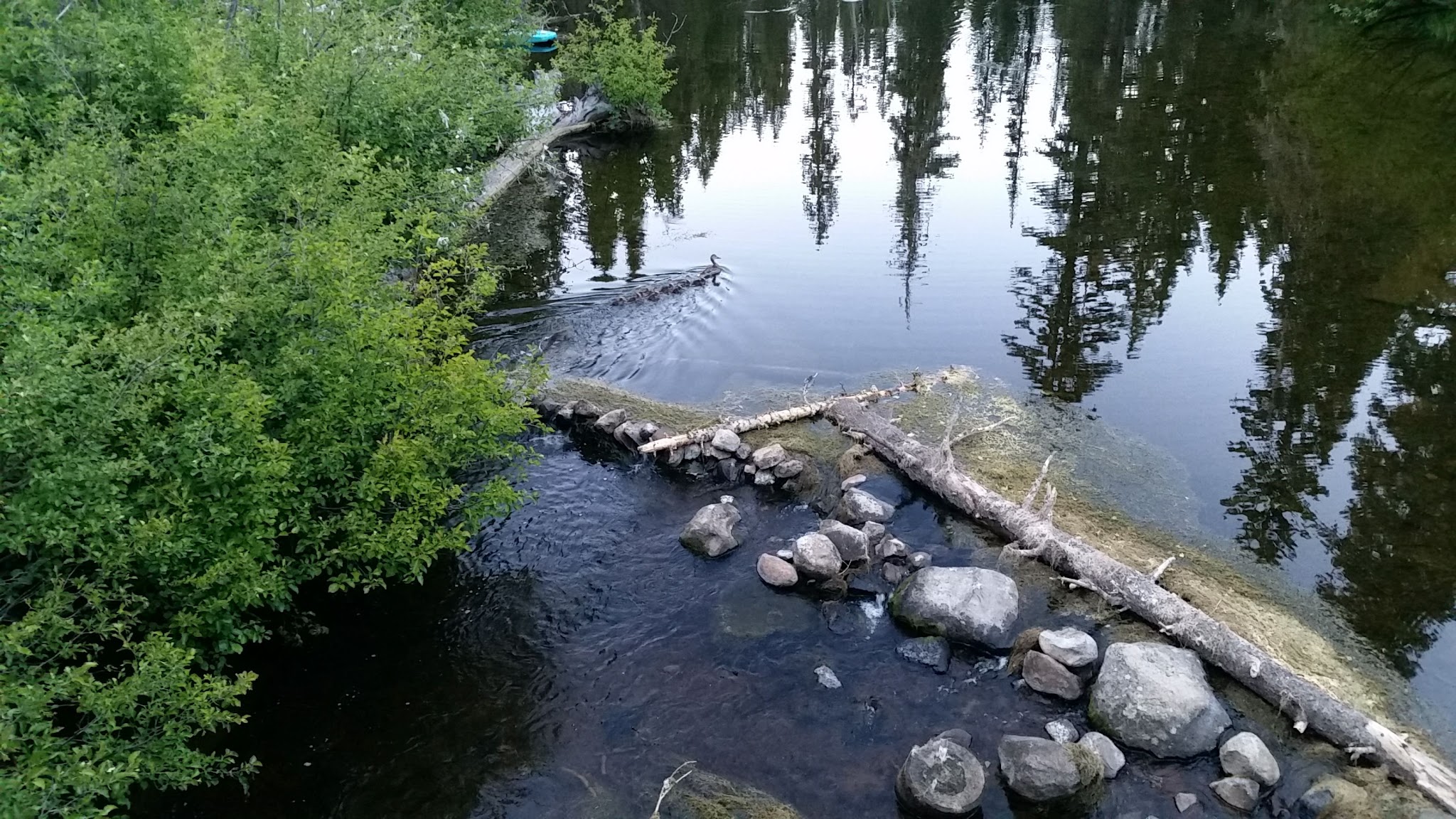 Gold Lake Campground (Or)