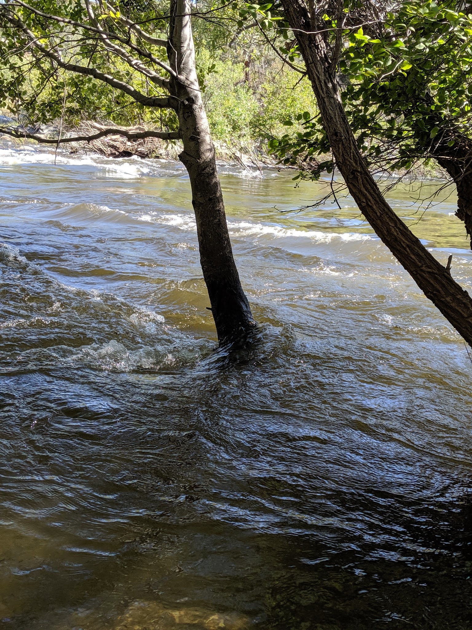 Old Goldledge Campground