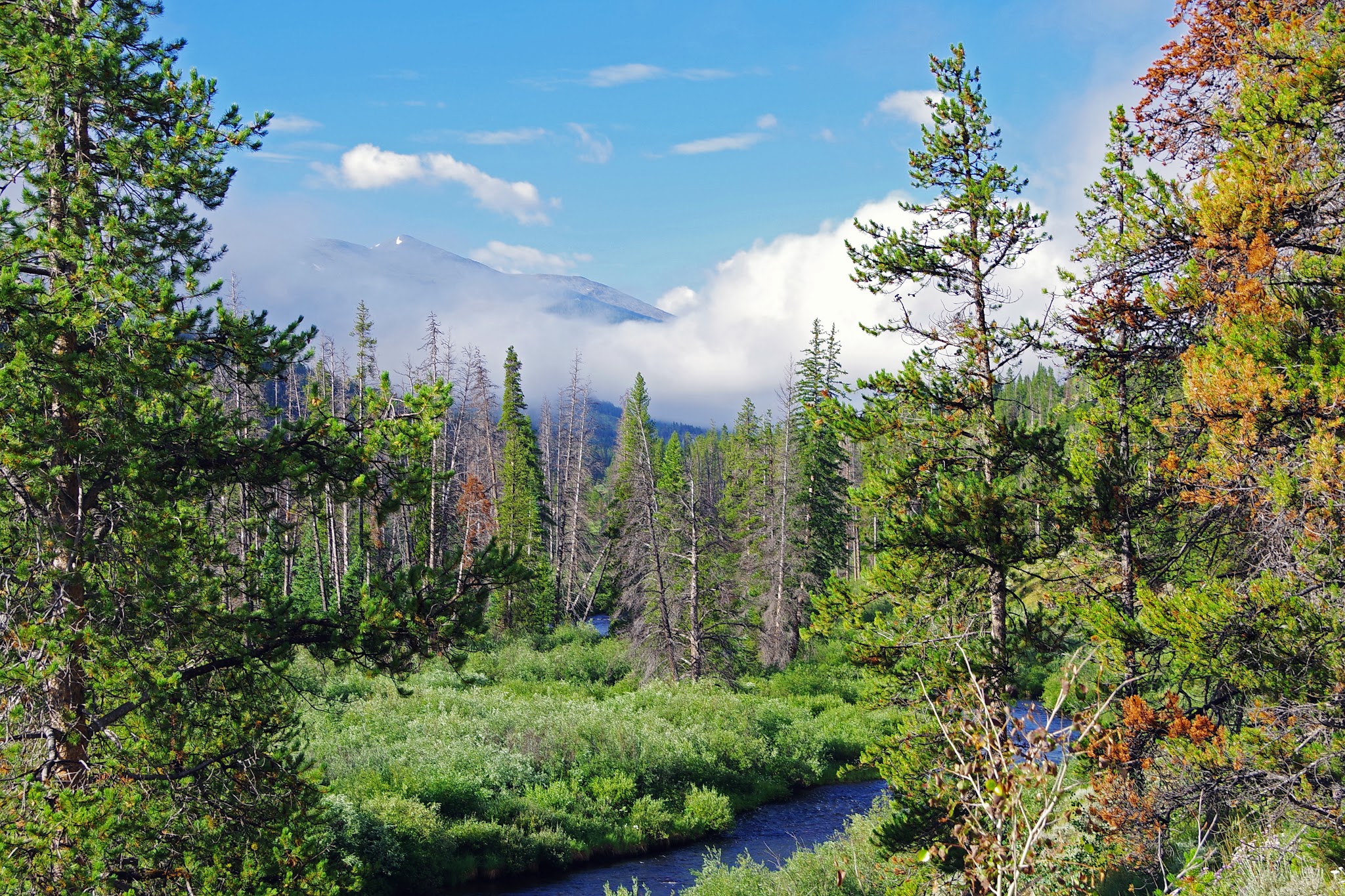Gold Park Campground