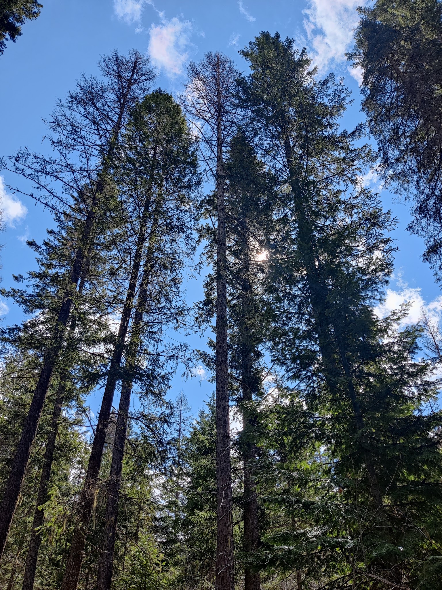 Gold Rush Campground