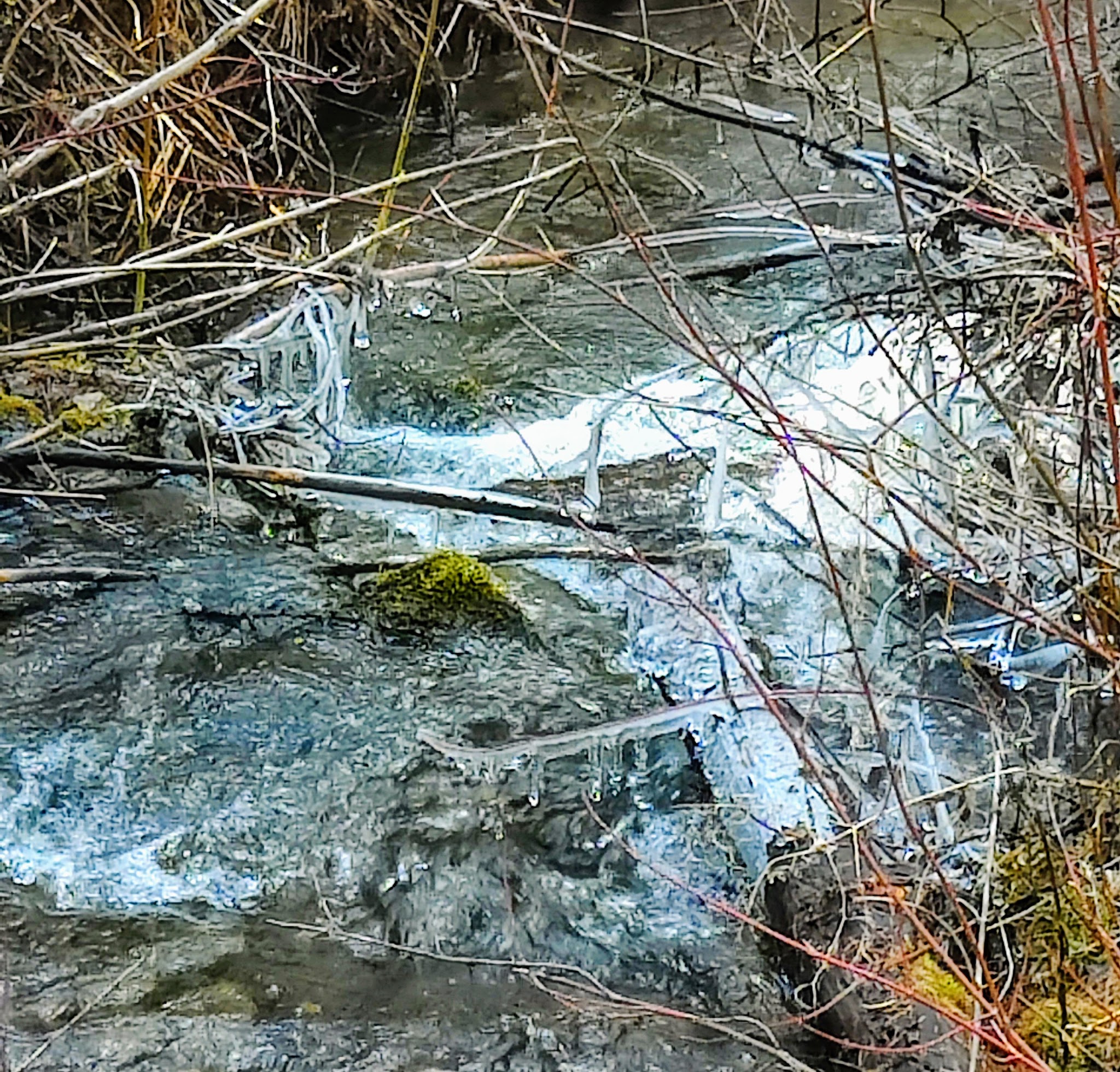 Gold Rush Campground