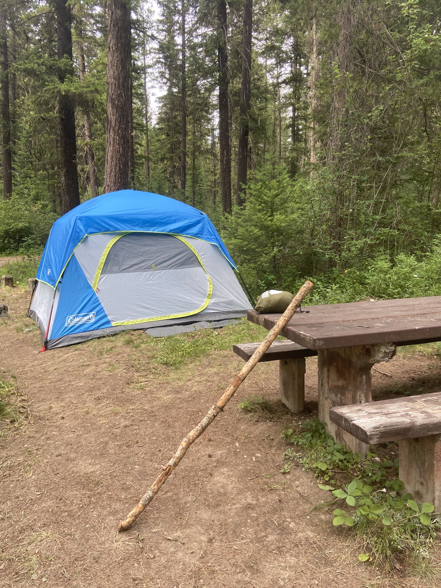 Gold Rush Campground