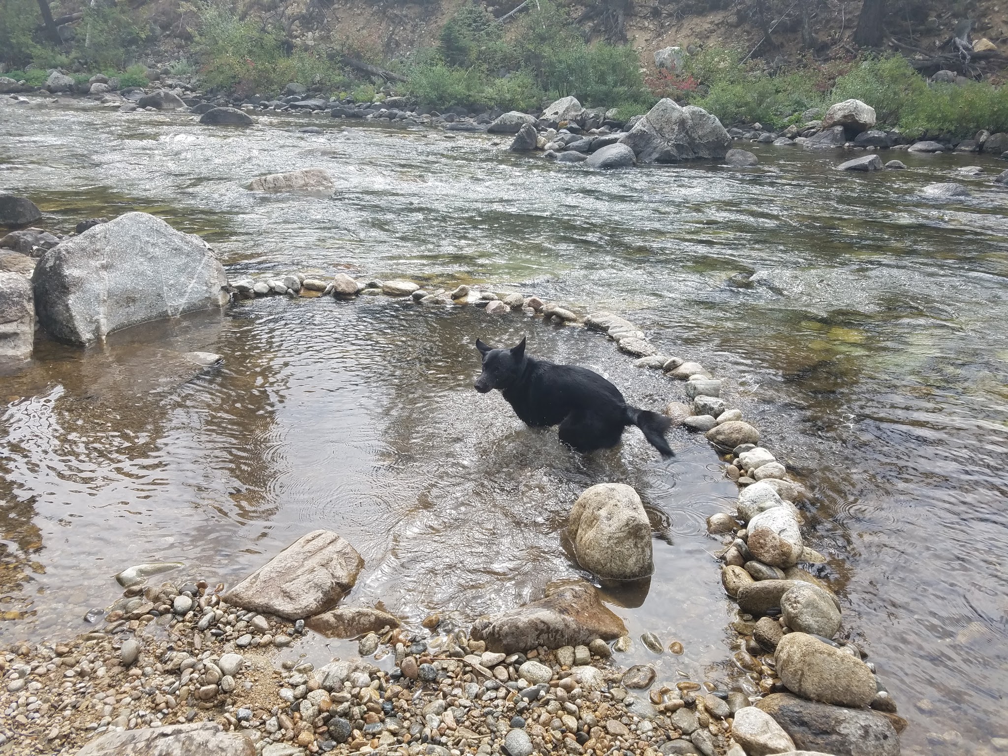 Golden Gate Campground