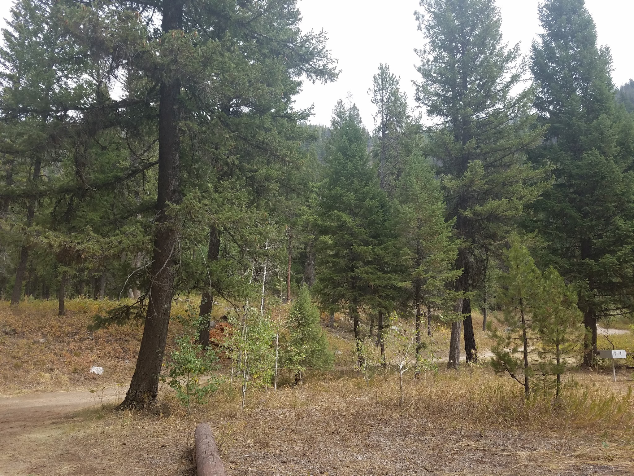 Golden Gate Campground