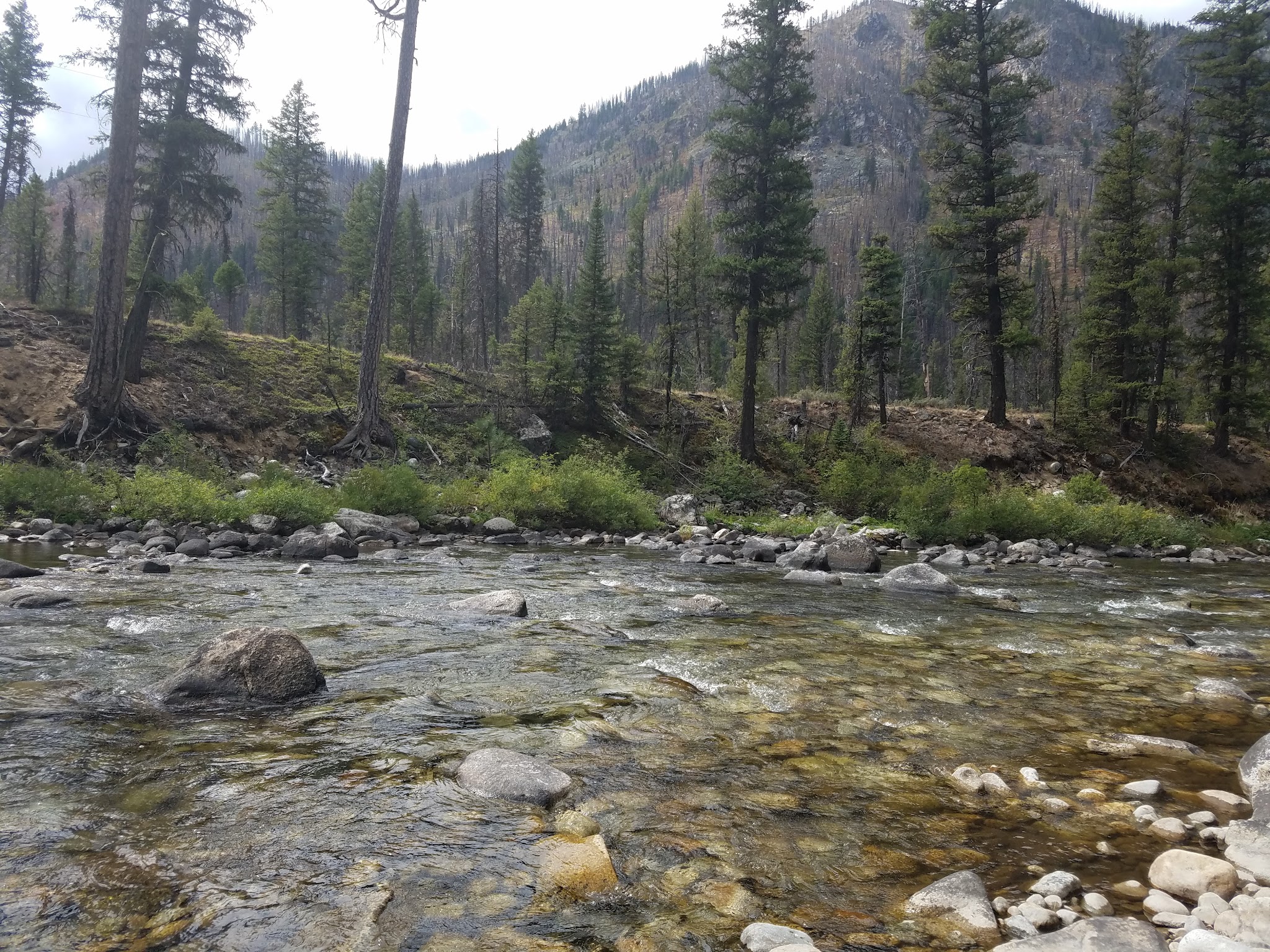 Golden Gate Campground