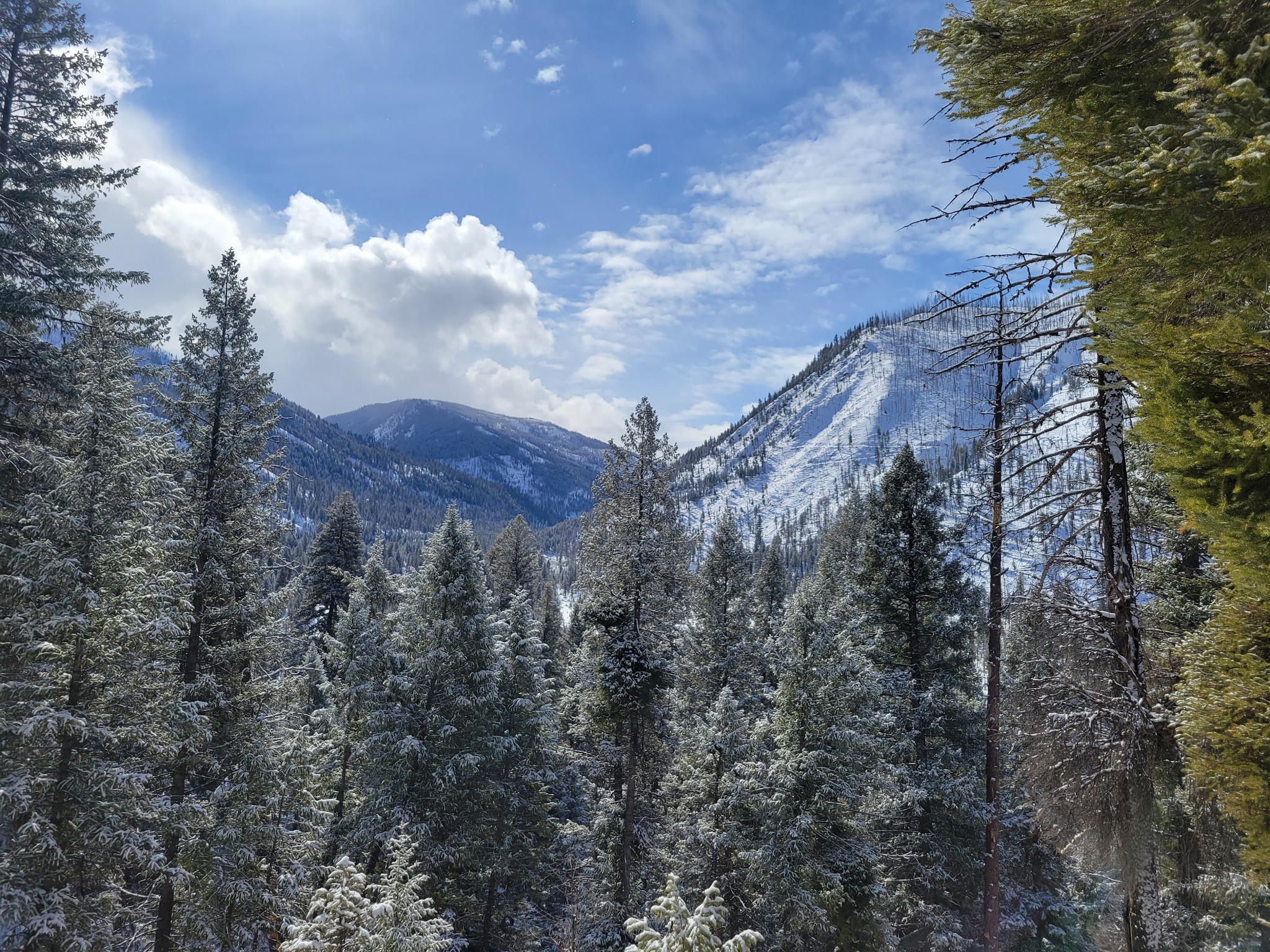 Golden Gate Campground