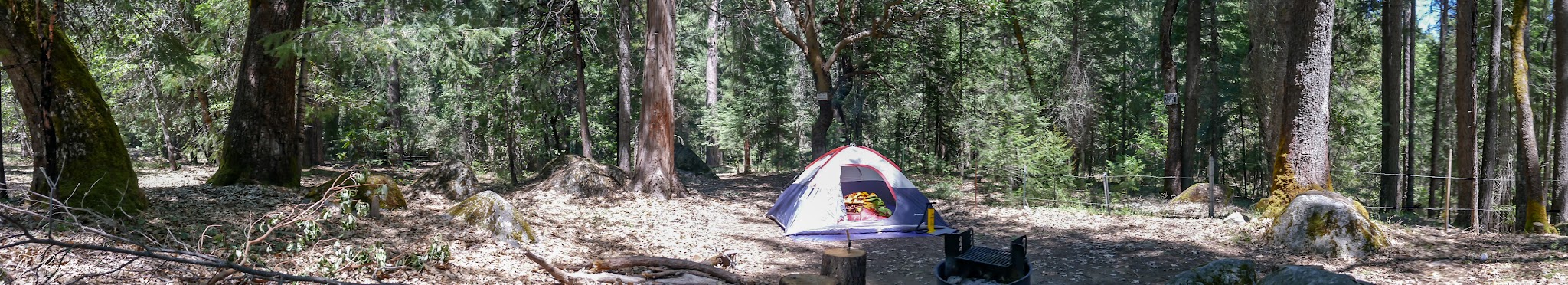 Goldfield Campground