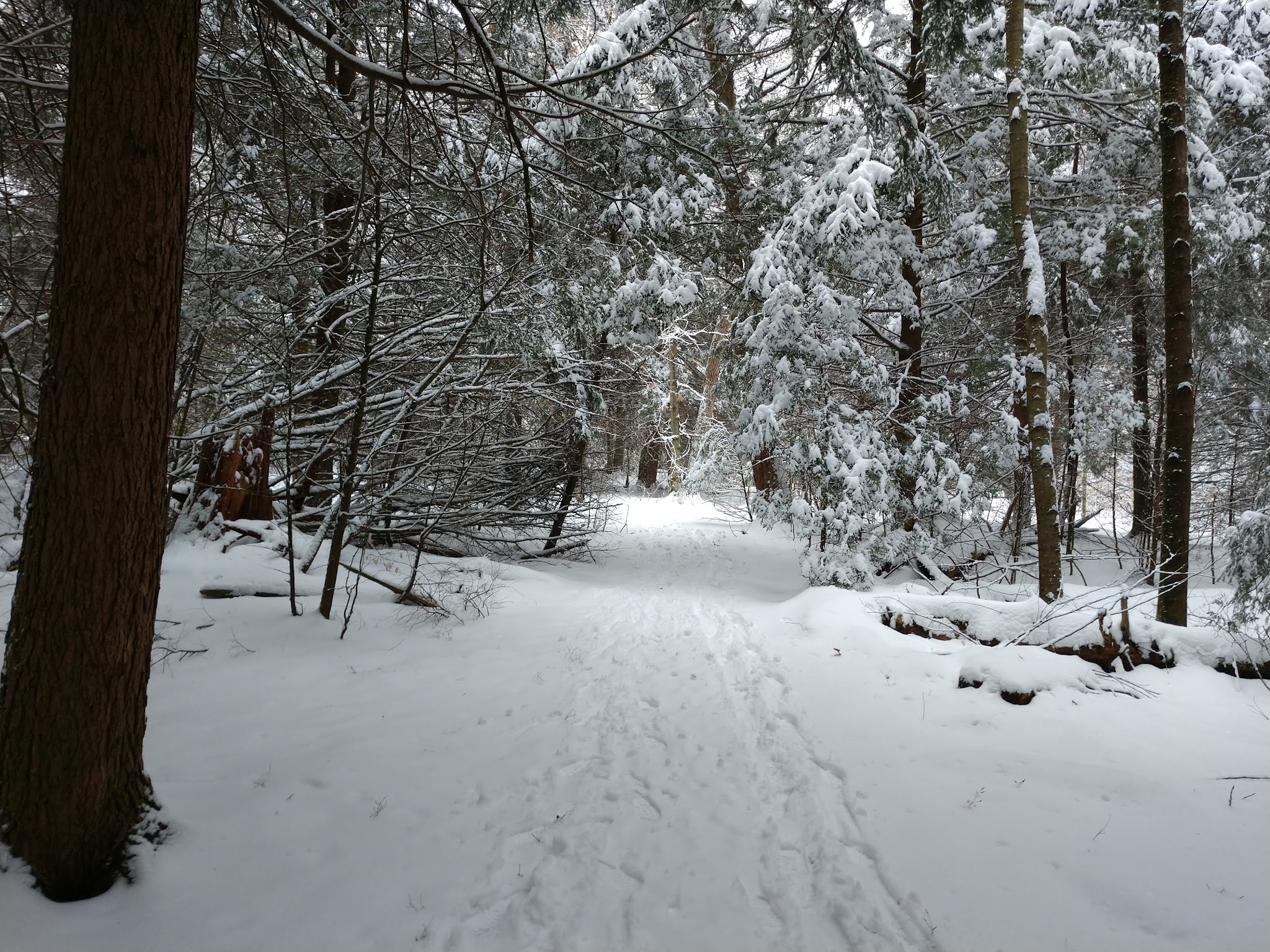 Hearts Content Recreation Area