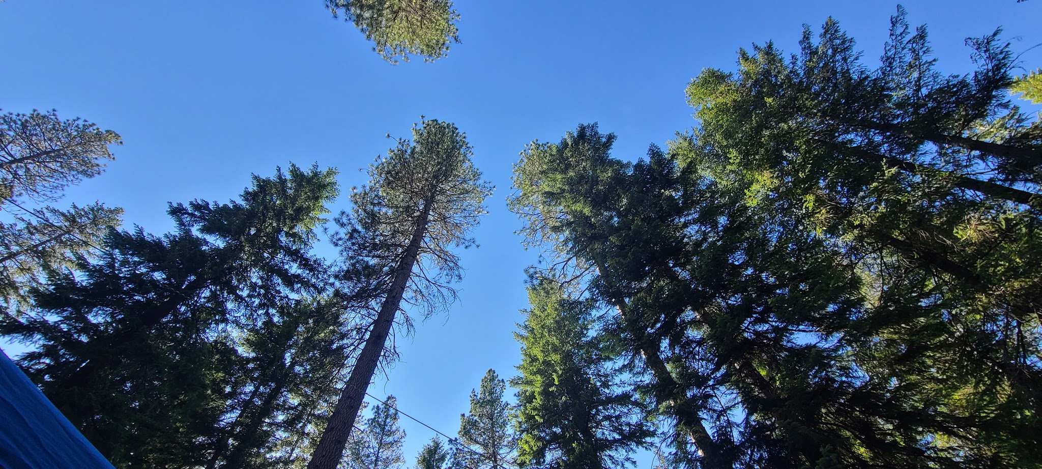 Grouse Creek Group Site