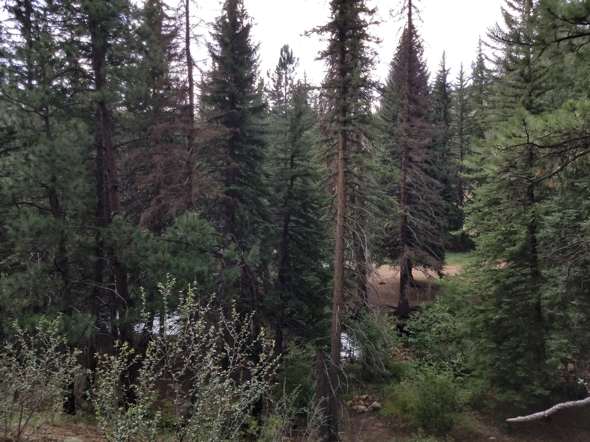 Goose Creek Campground