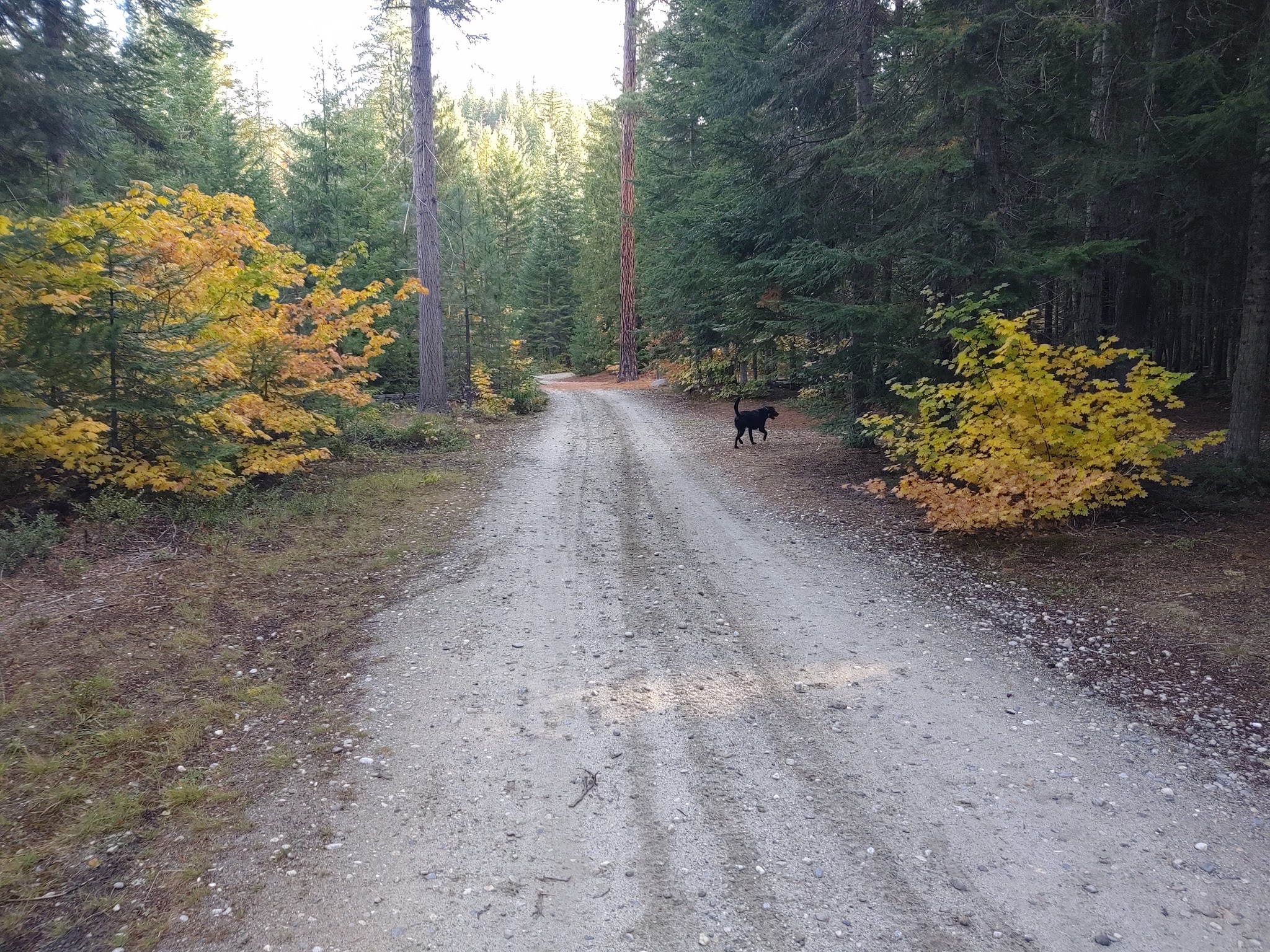 Goose Creek Campground