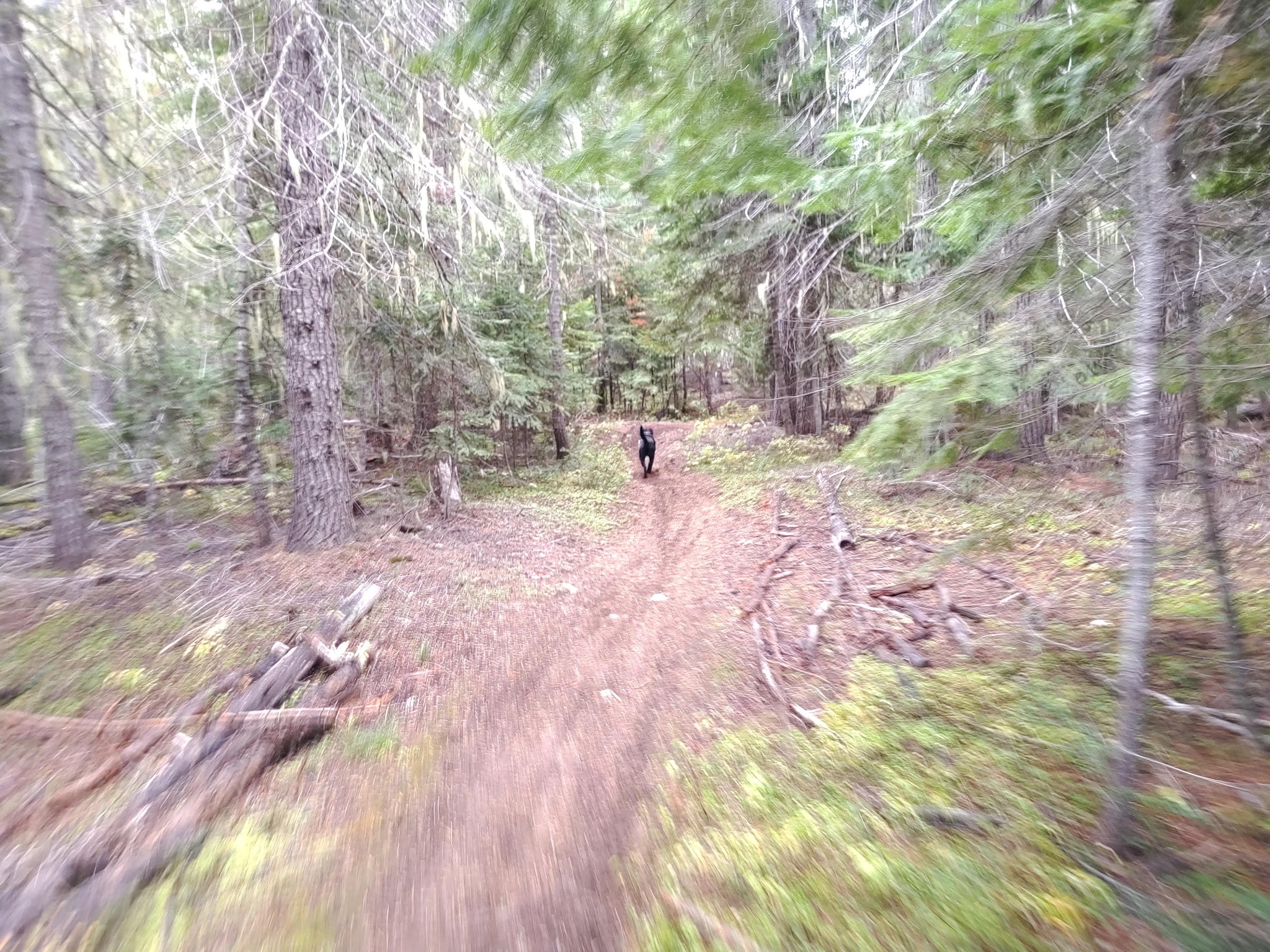 Goose Creek Campground