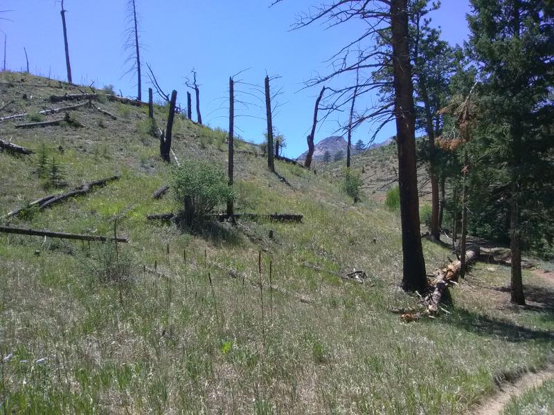 Goose Creek Campground