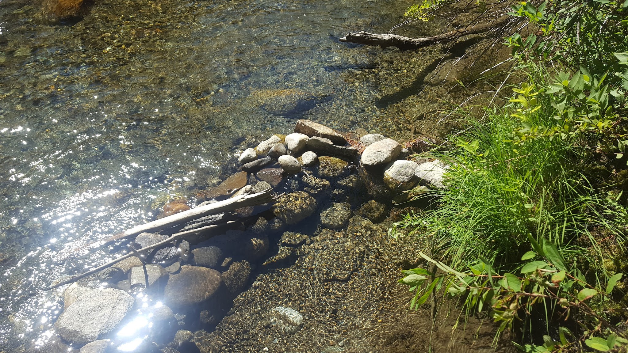 Goose Creek Campground