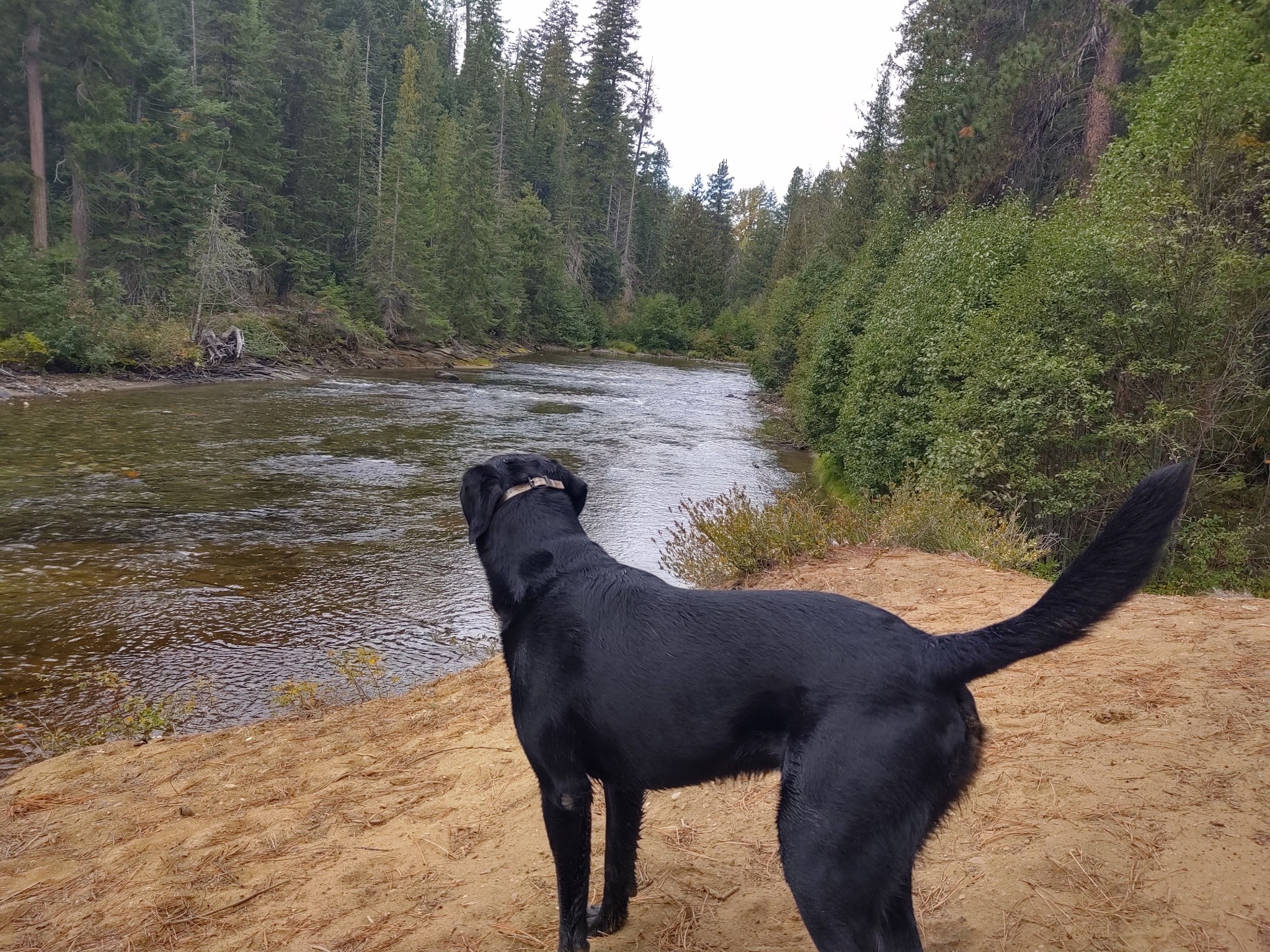 Goose Creek Campground