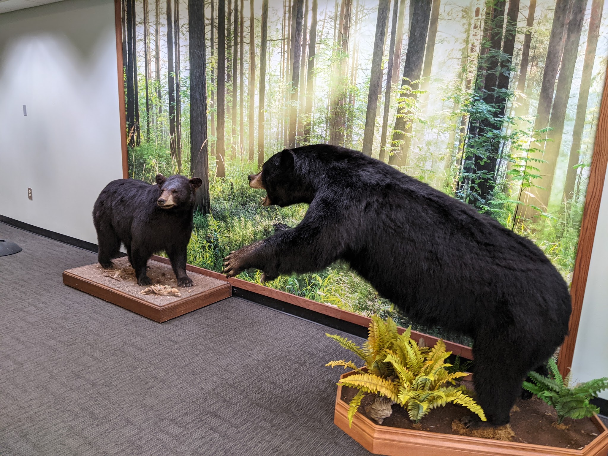 Goose Creek State Park